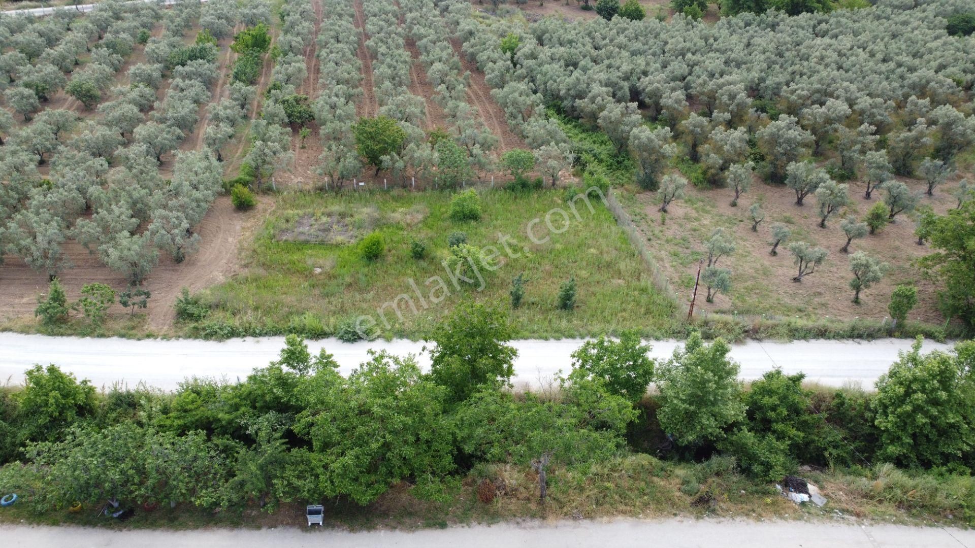 Yeniköy Altı Kuzuluk Mevkinde Hobi Bahçesine Uygun 750 M² Tarla