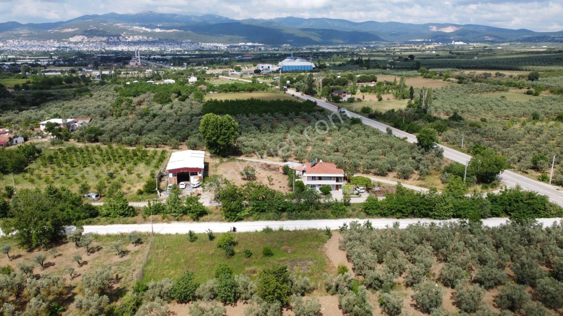 Yeniköy Altı Kuzuluk Mevkinde Hobi Bahçesine Uygun 750 M² Tarla - Görsel 9