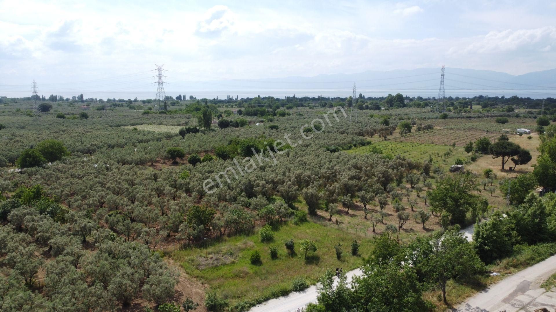 Yeniköy Altı Kuzuluk Mevkinde Hobi Bahçesine Uygun 750 M² Tarla - Görsel 18