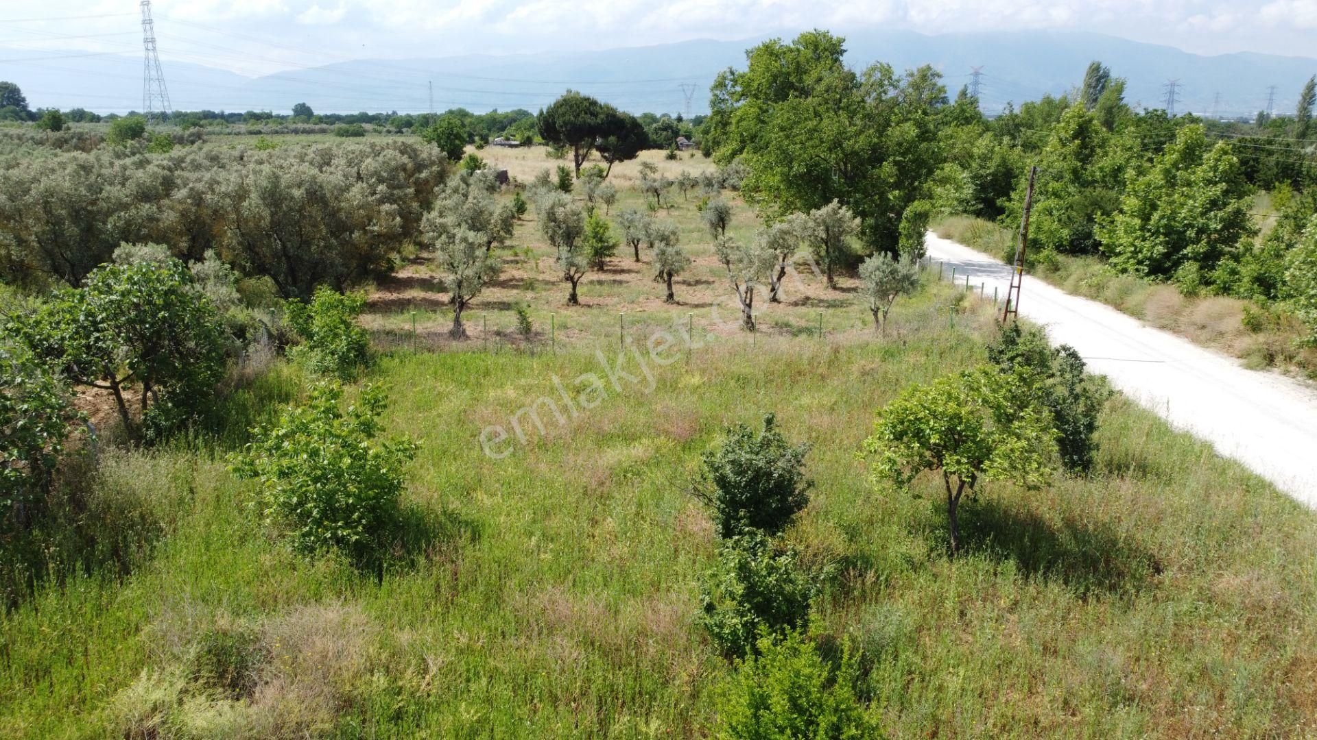 Yeniköy Altı Kuzuluk Mevkinde Hobi Bahçesine Uygun 750 M² Tarla - Görsel 22