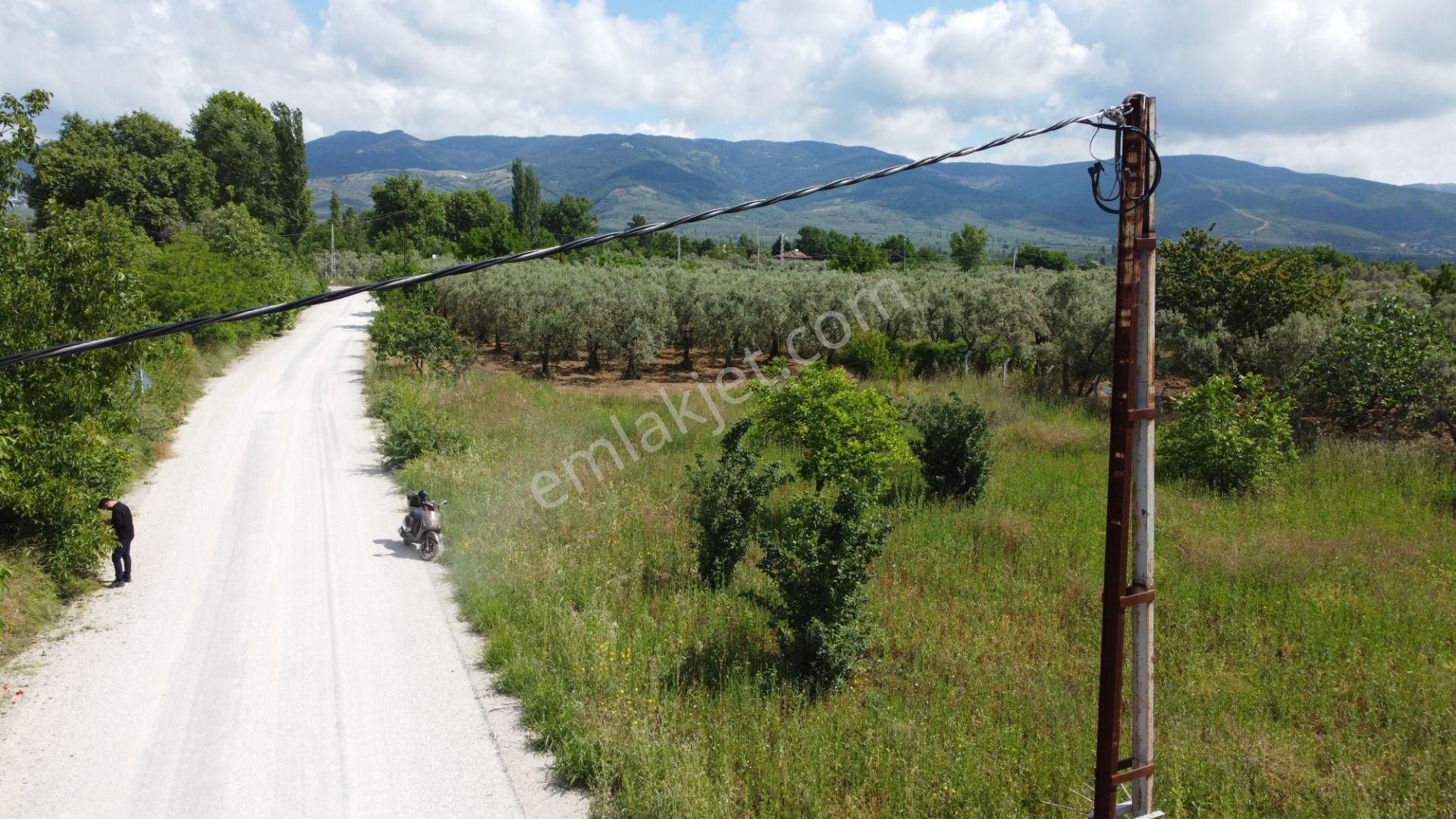 Yeniköy Altı Kuzuluk Mevkinde Hobi Bahçesine Uygun 750 M² Tarla - Görsel 31