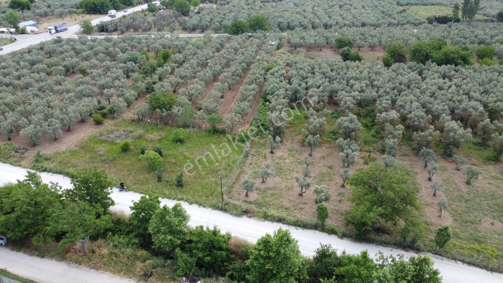 Yeniköy Altı Kuzuluk Mevkinde Hobi Bahçesine Uygun 750 M² Tarla - Görsel 3