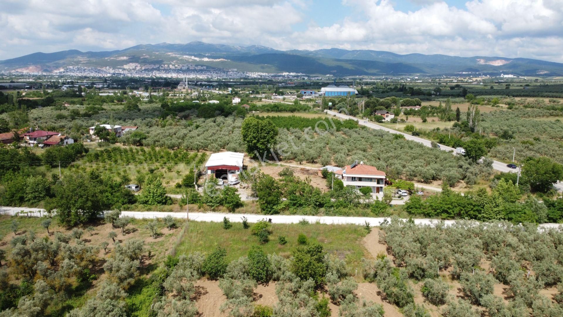 Yeniköy Altı Kuzuluk Mevkinde Hobi Bahçesine Uygun 750 M² Tarla - Görsel 11
