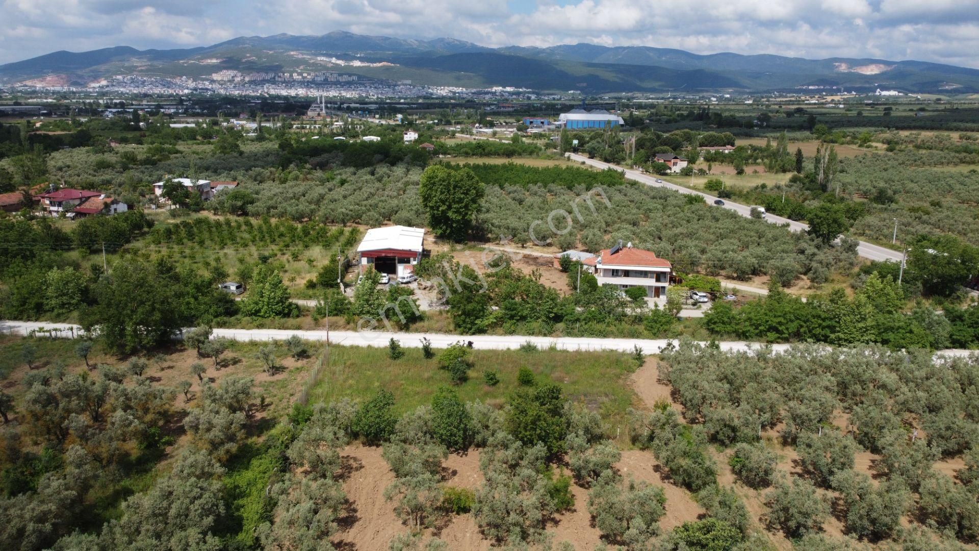 Yeniköy Altı Kuzuluk Mevkinde Hobi Bahçesine Uygun 750 M² Tarla - Görsel 10