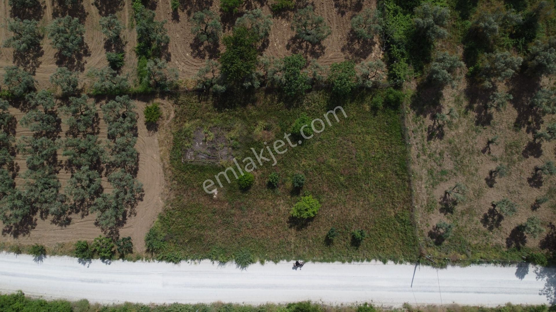 Yeniköy Altı Kuzuluk Mevkinde Hobi Bahçesine Uygun 750 M² Tarla - Görsel 20