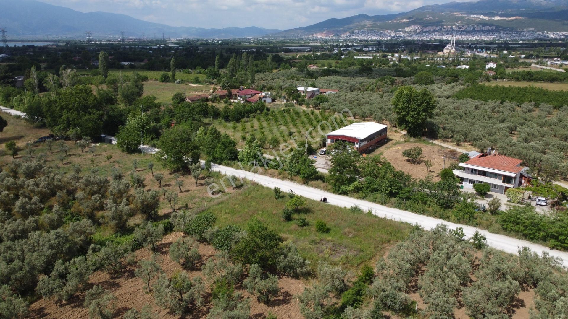 Yeniköy Altı Kuzuluk Mevkinde Hobi Bahçesine Uygun 750 M² Tarla - Görsel 12