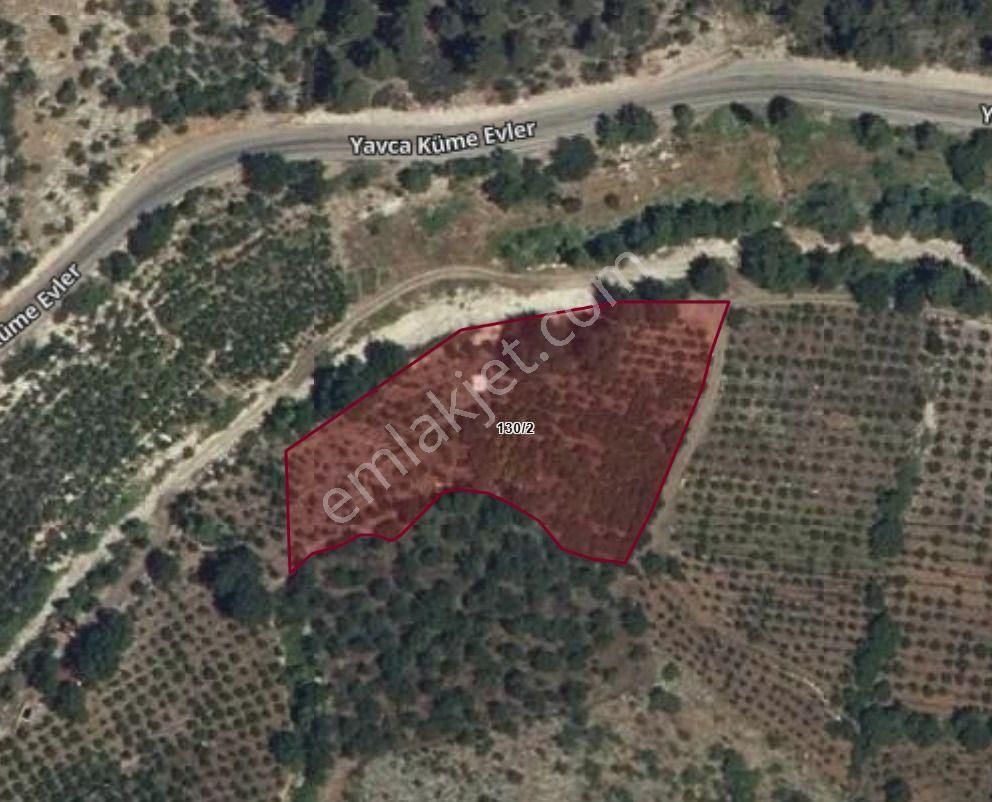 Remax Toros'tan Yavca'da Yatırımlık Şeftali Bahçesi