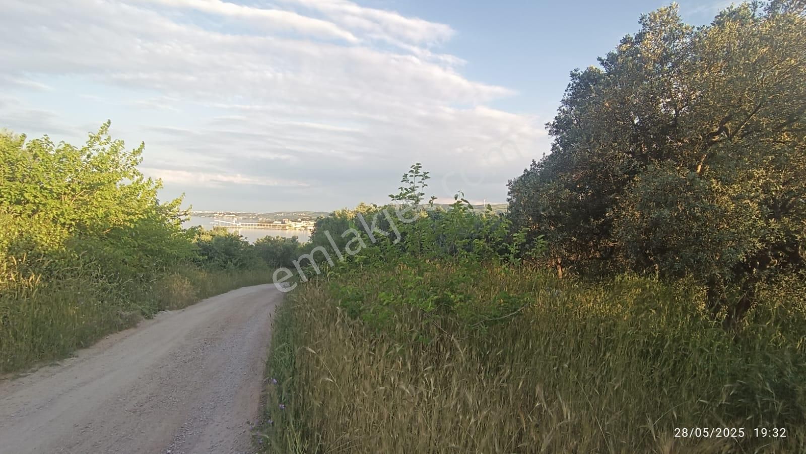 Balıkesir Erdek Hamamlı Mah. 3.649 M2 Satılık Zeytinlik Deniz Manzaralı Yatırımlık - Görsel 5