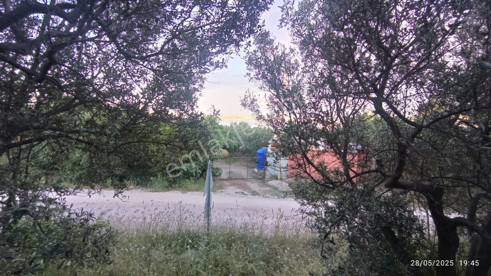 Balıkesir Erdek Hamamlı Mah. 3.649 M2 Satılık Zeytinlik Deniz Manzaralı Yatırımlık - Görsel 30
