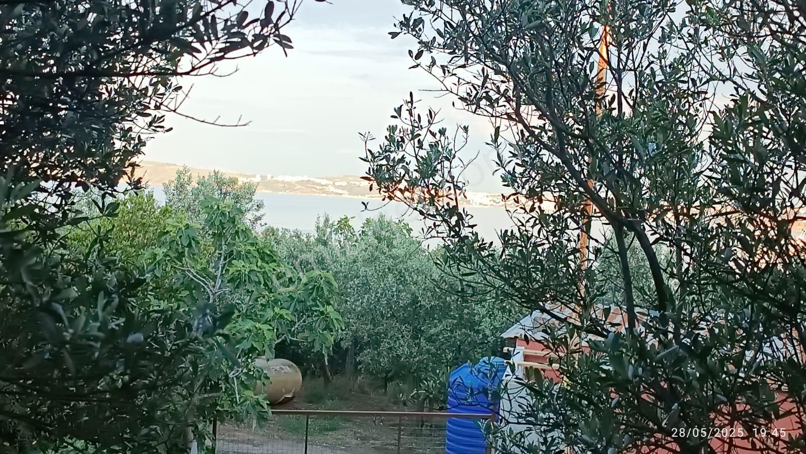 Balıkesir Erdek Hamamlı Mah. 3.649 M2 Satılık Zeytinlik Deniz Manzaralı Yatırımlık