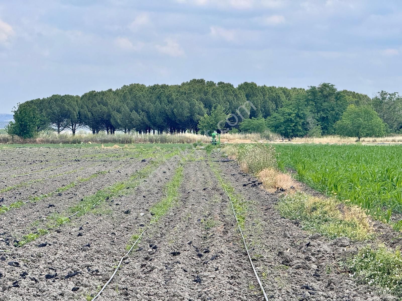 Manisa Tepecik De 7.000 M2 Tarla , Resmi Yolu Var , Suyu Var