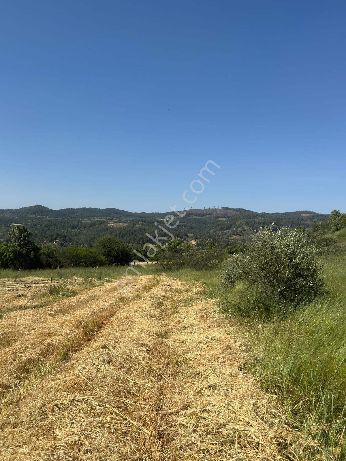 Hayal Gayrimenkulden Yatırımlık 1893 M2 Tarla