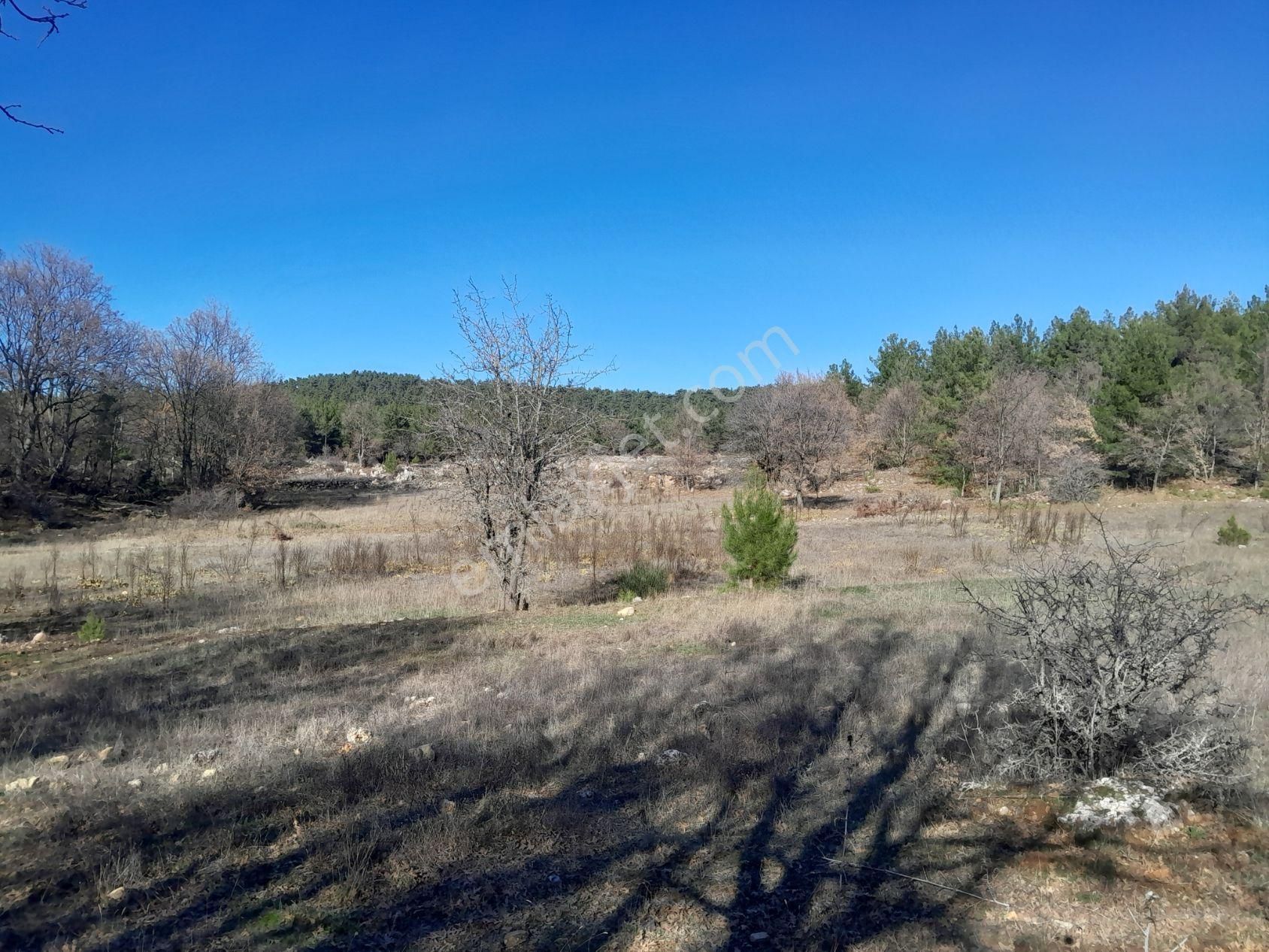 Muğla Menteşe Kuyucak Mah. Satılık 11500m2 Arsa