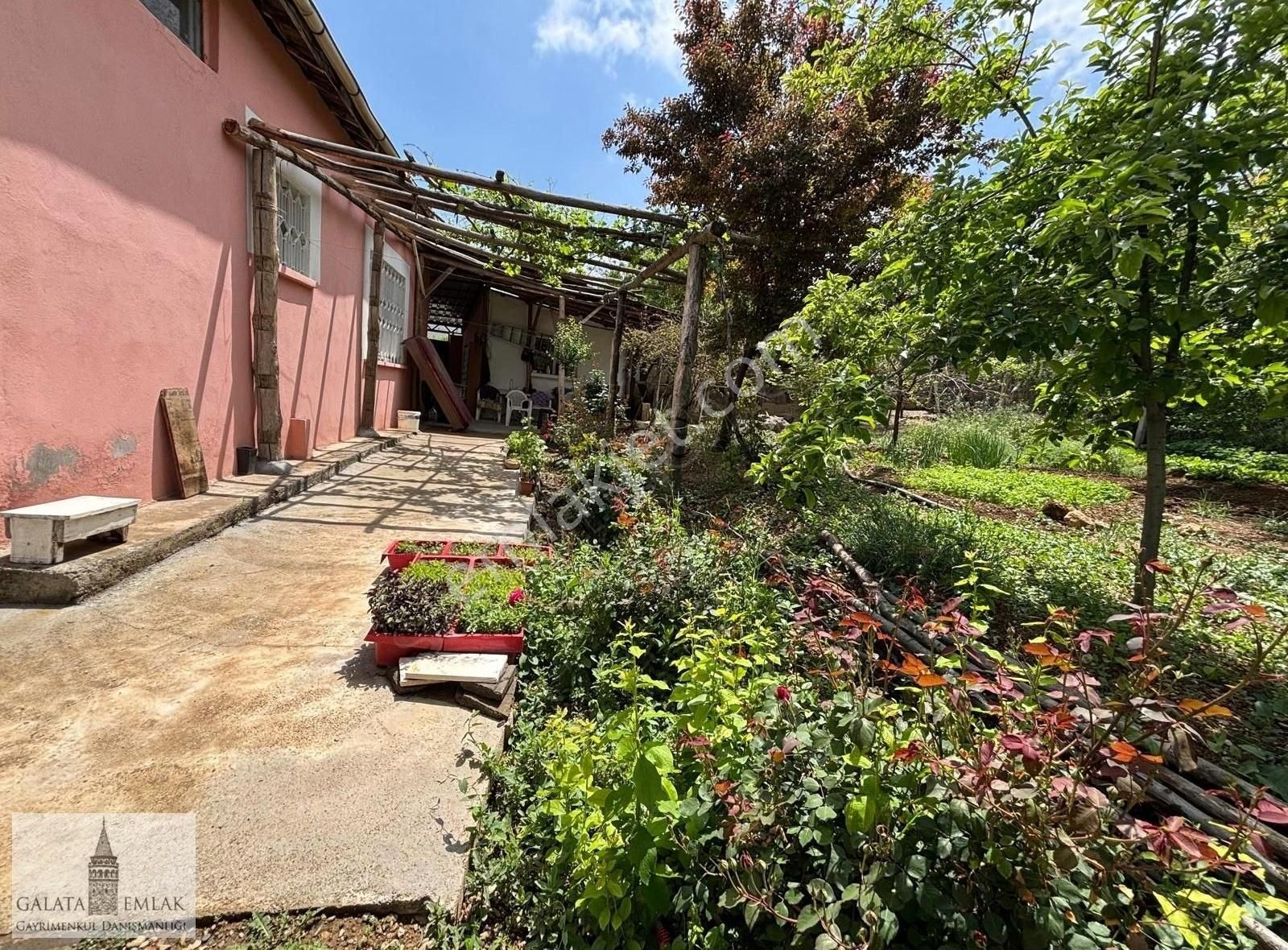 Dilek Uğrak(hilan)toplam1782m² Mustakil Evi Bulunan Arsa