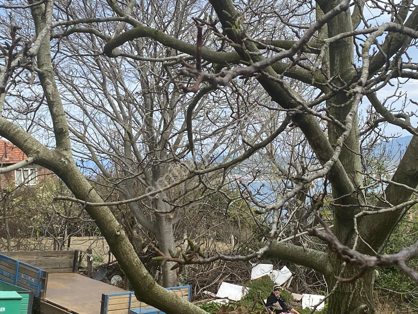 Mudanya Eğerce'de Kapital'den Satılık Köy İçi Arsa - Görsel 9