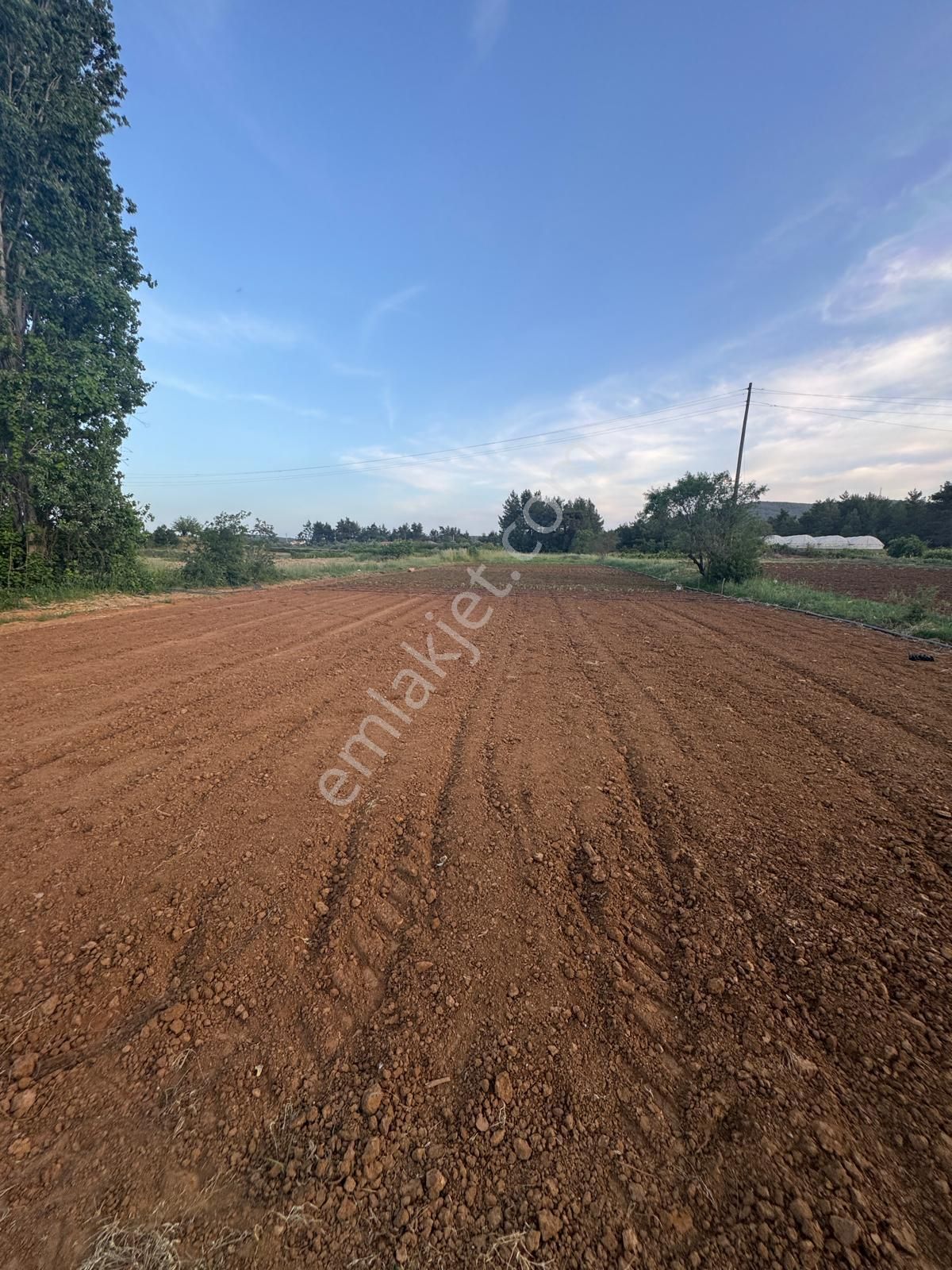 Muğla Ula Kızılağaç Mahallesinde Satılık 14353 M2 Arsa
