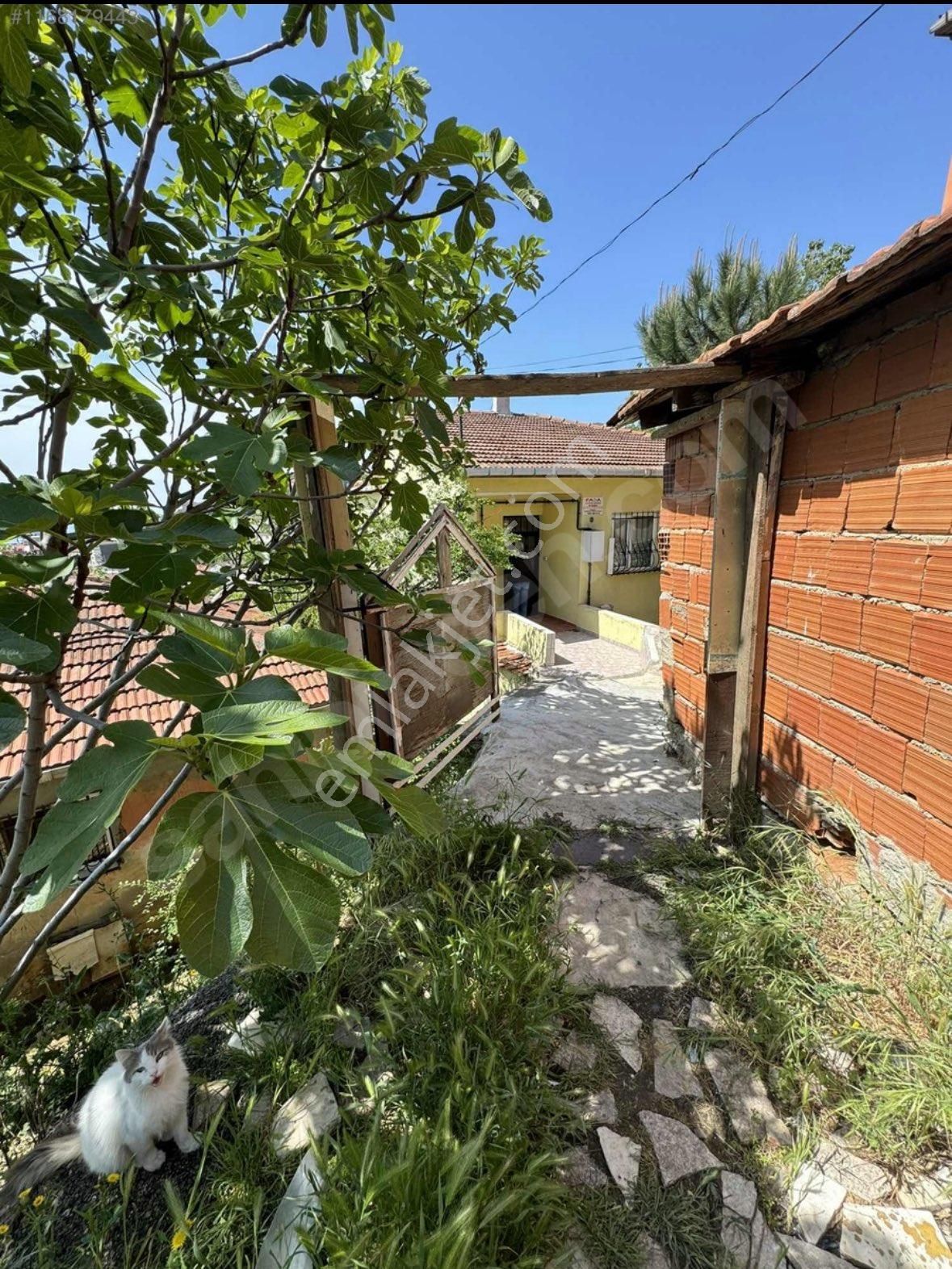 Sahibinden Kiralık Müstakil Ev