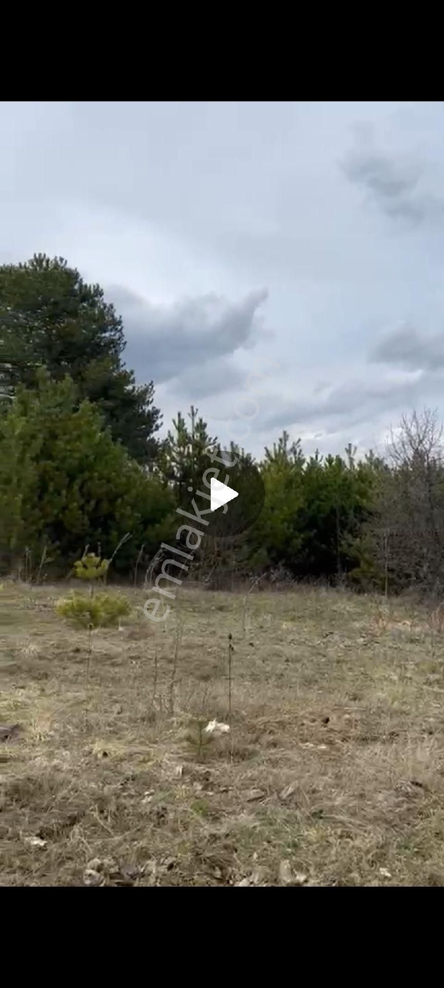 Karabük Yaylada Fırsat Arazi