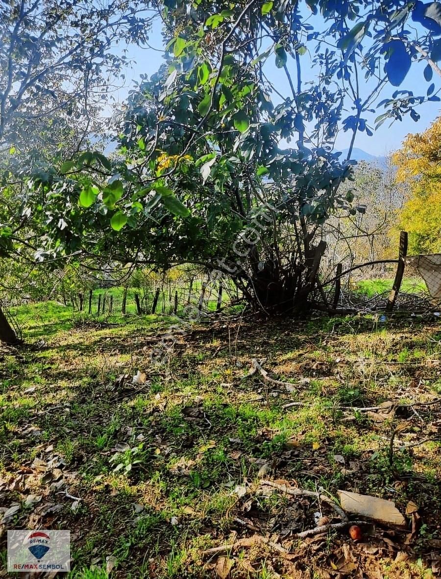 Bayındır Sarıyurtta Kadastral Yollu 678 M2 Köy İçinde Bahçe