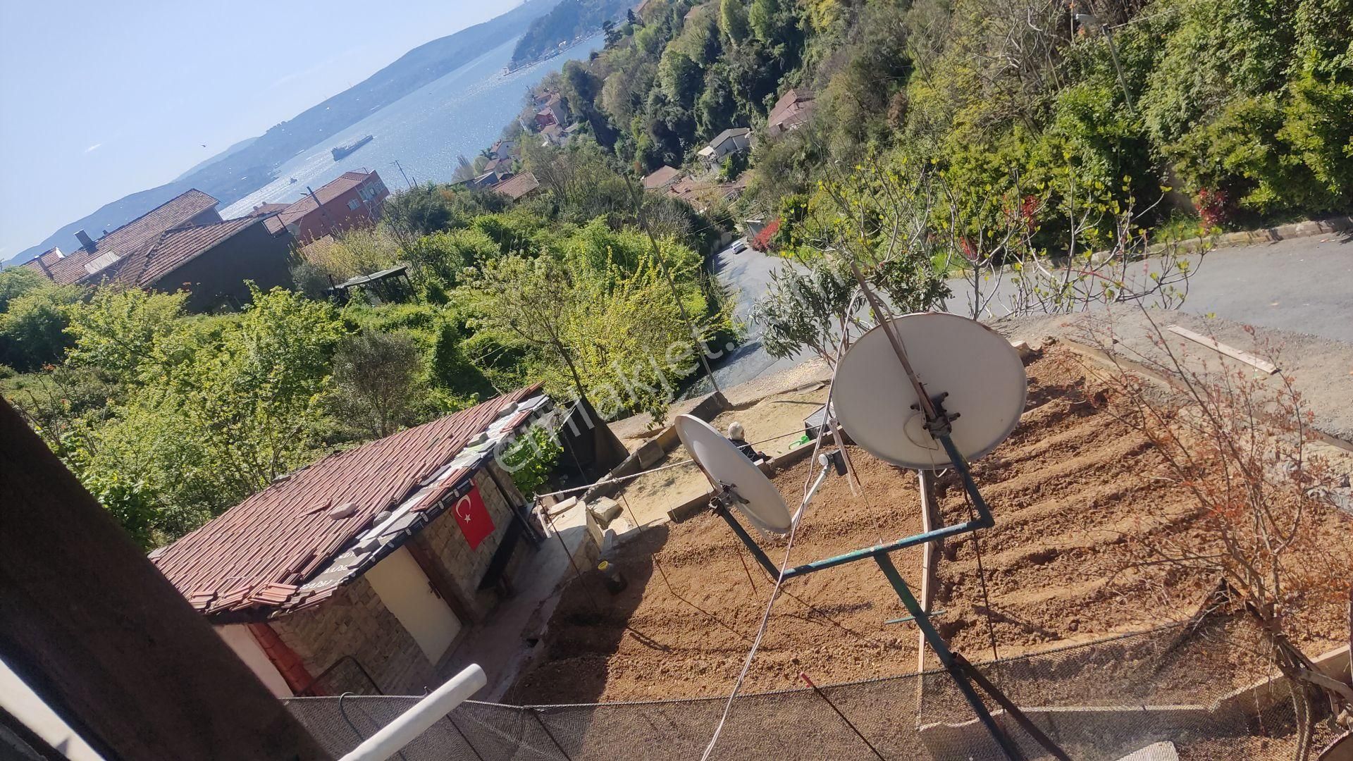 Boğaz Ve Ormanla İçiçe - Görsel 12