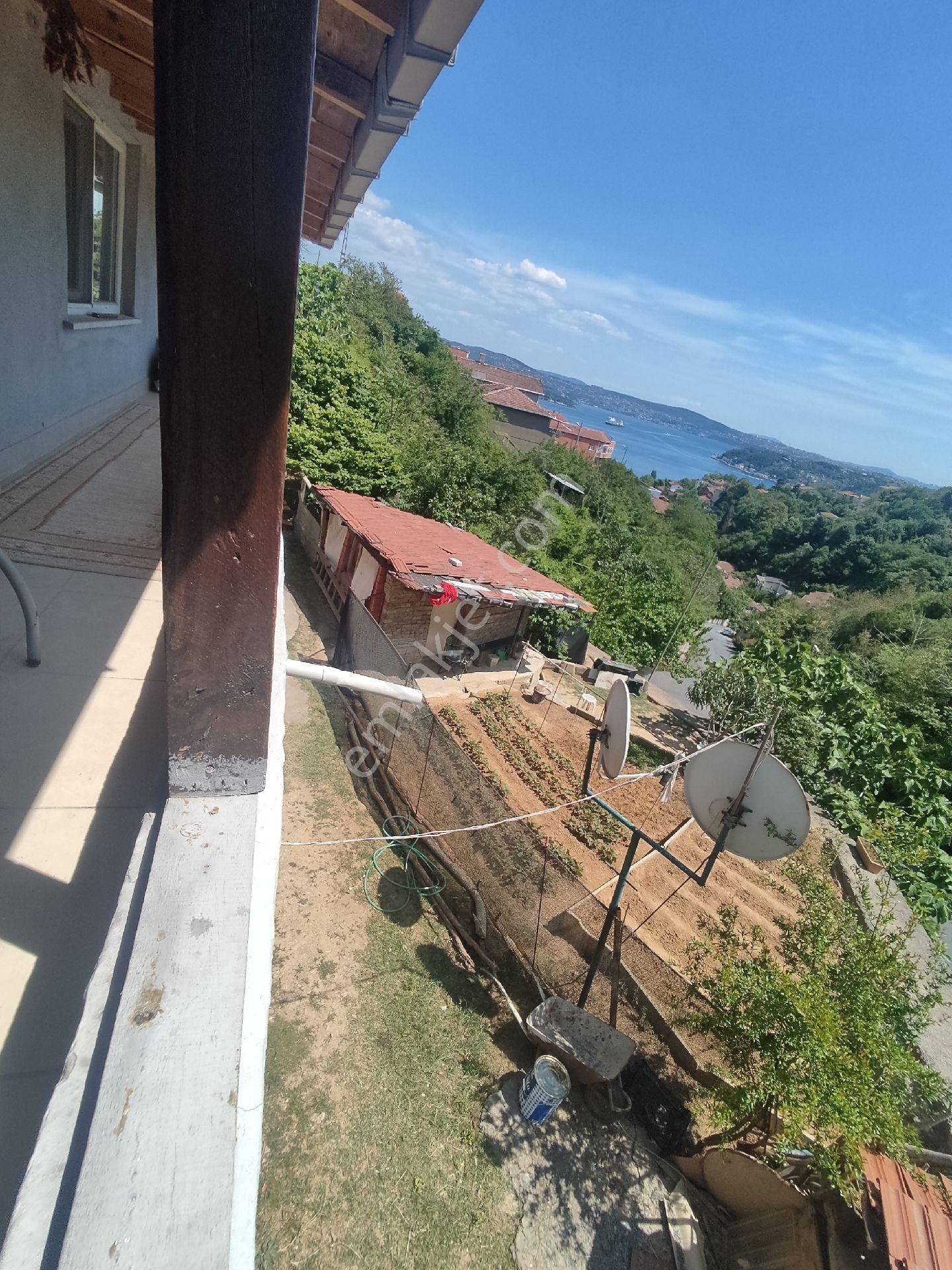 Boğaz Ve Ormanla İçiçe - Görsel 6