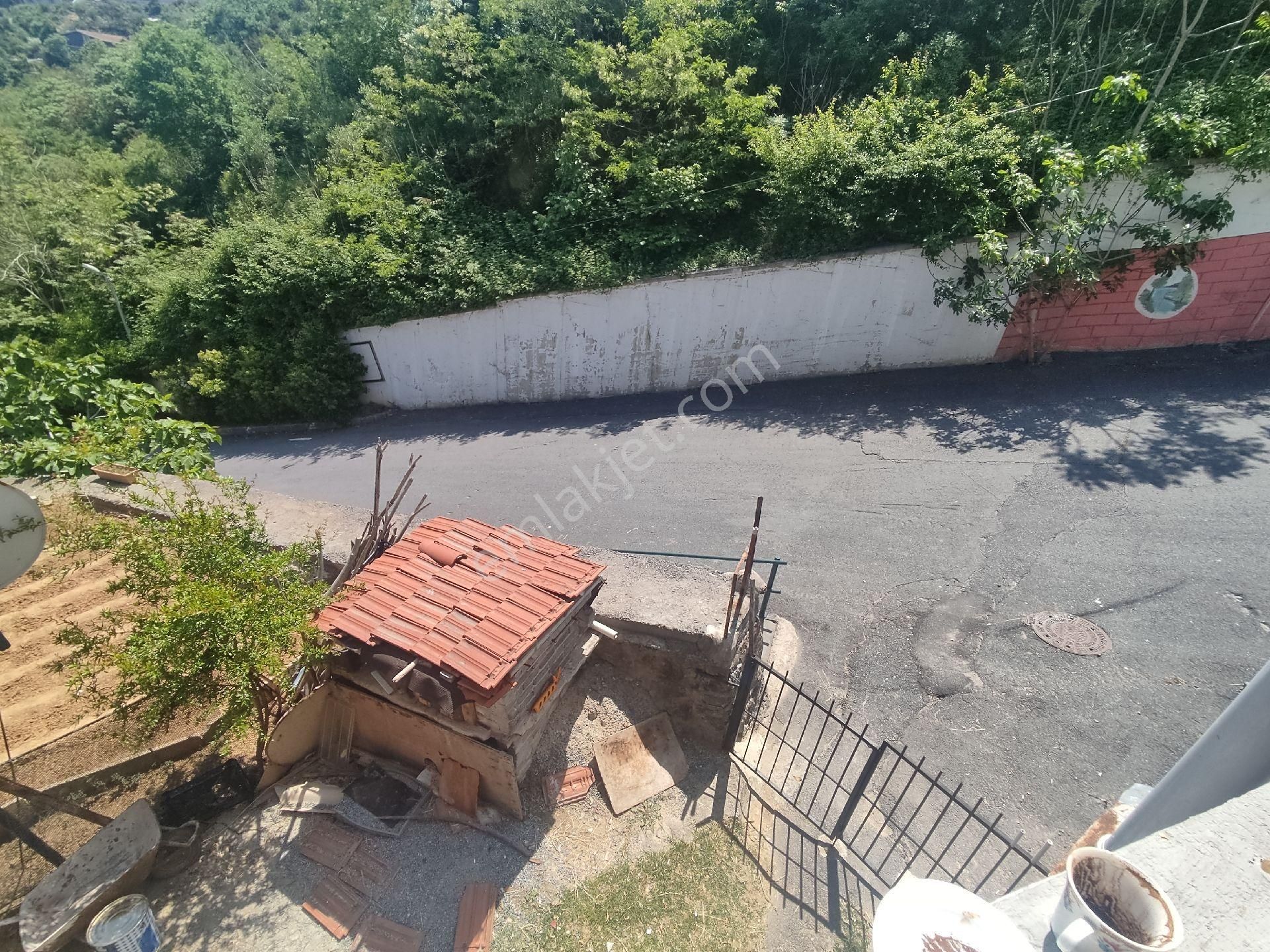 Boğaz Ve Ormanla İçiçe - Görsel 10