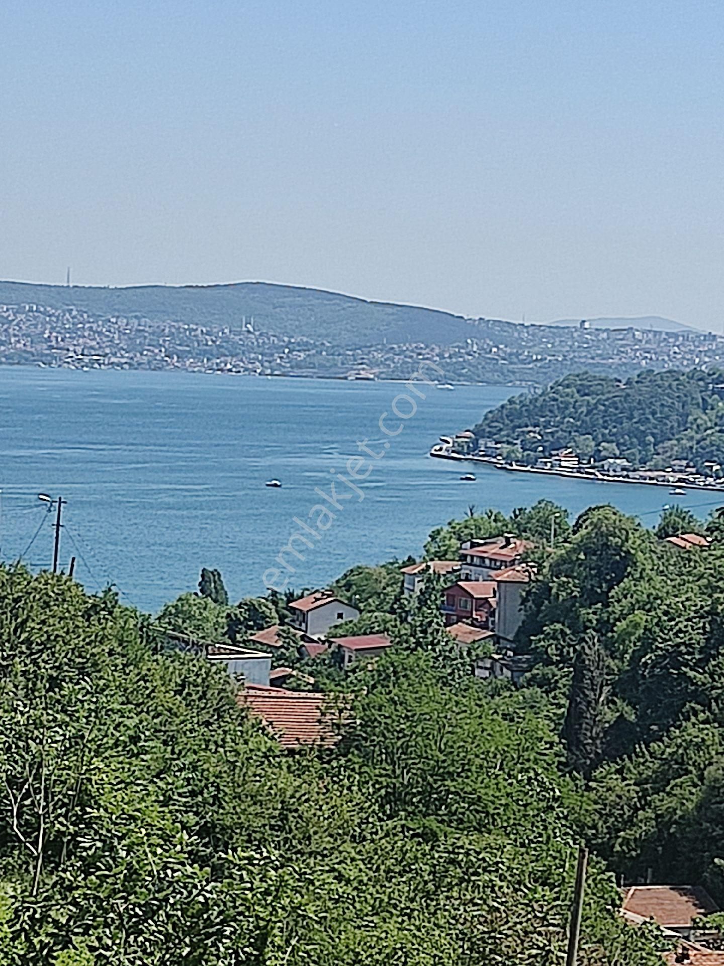 Boğaz Ve Ormanla İçiçe