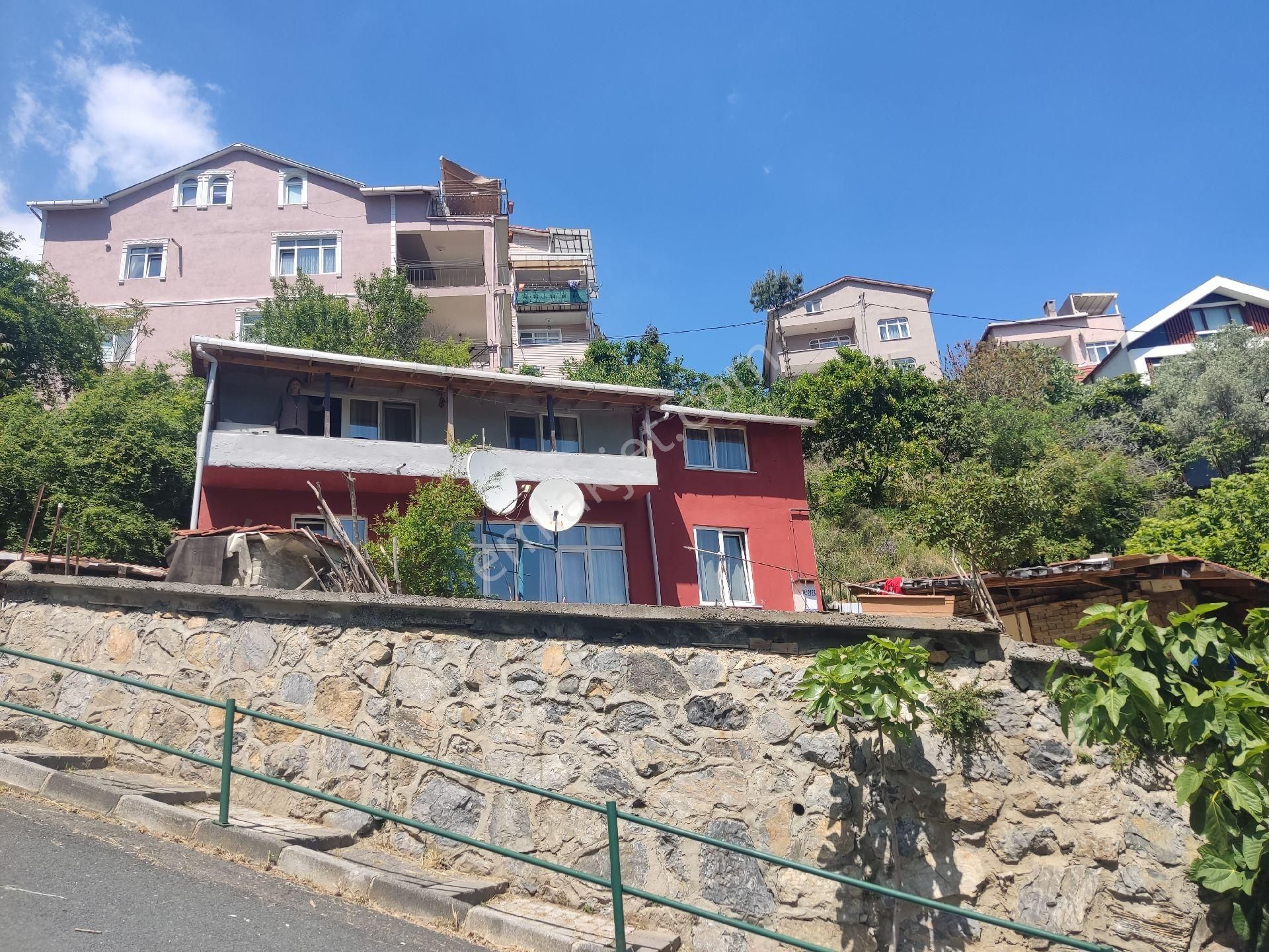 Boğaz Ve Ormanla İçiçe - Görsel 4