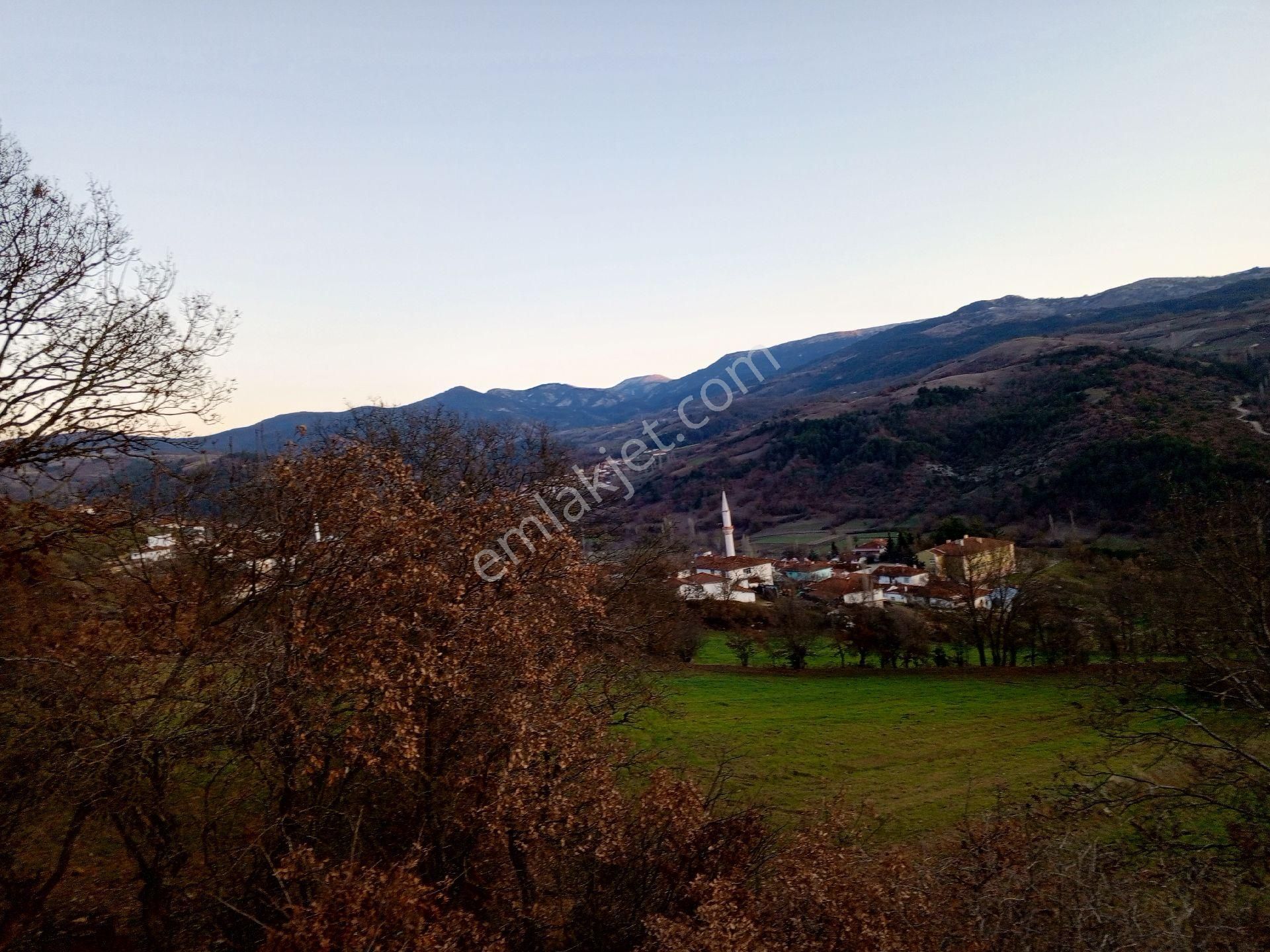 Balıkesir - Sındırgı - Büyükdağdere Mahallesi