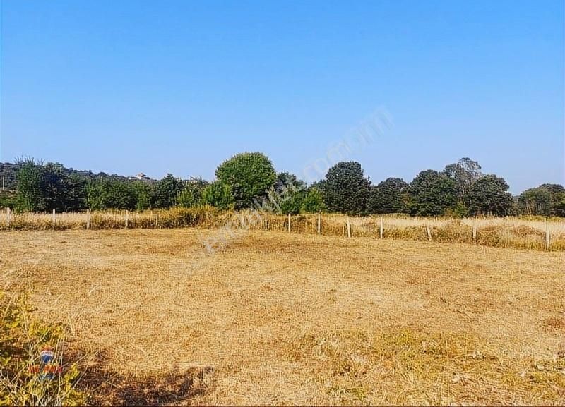 Etrafı Çevrili,yeri Belli,yola Yakın Ve Hisseli 746 Metrekare