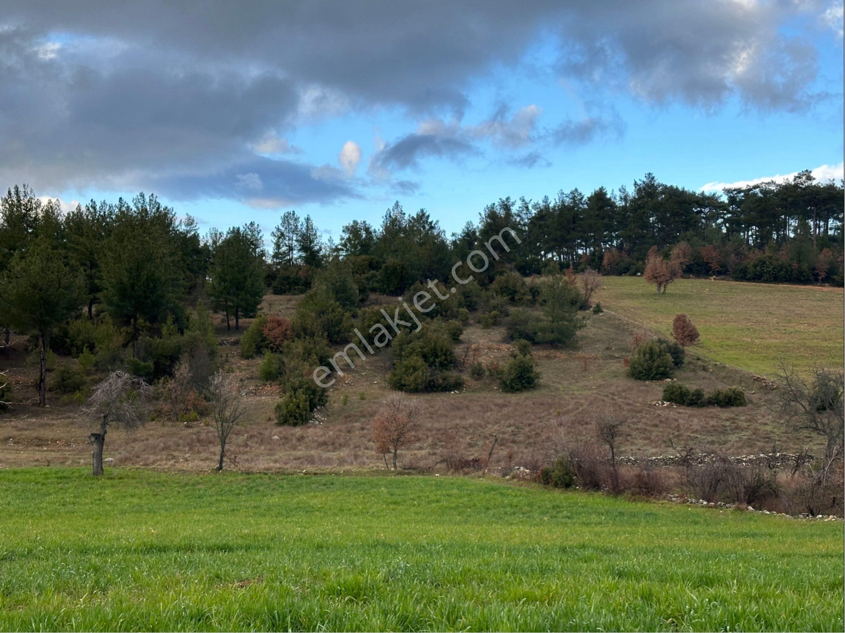 Kavaklıdere Satılık 7211 M2 Tarla