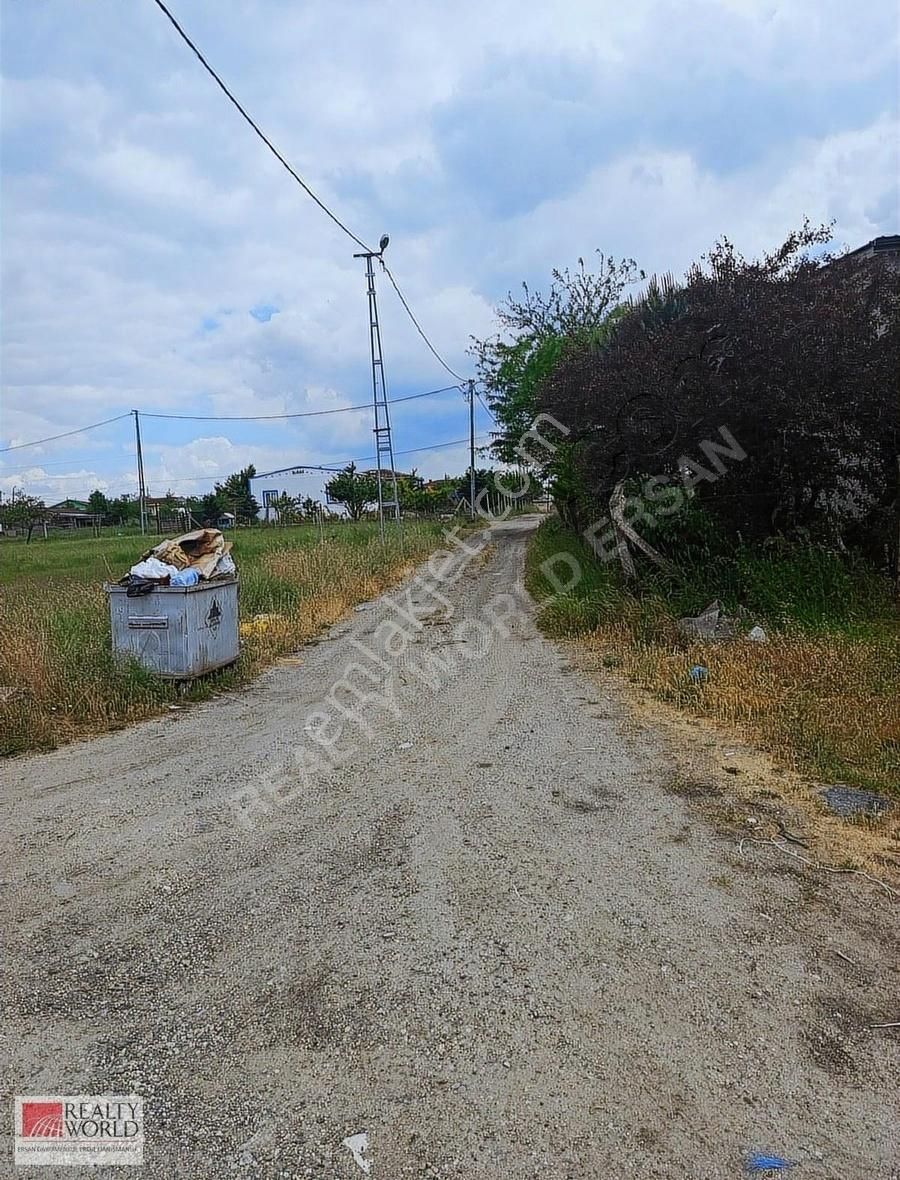 Çatalca Halaçlı Ergün Sk. Tarla Orman Köşe 2300m2 Satılık - Görsel 5