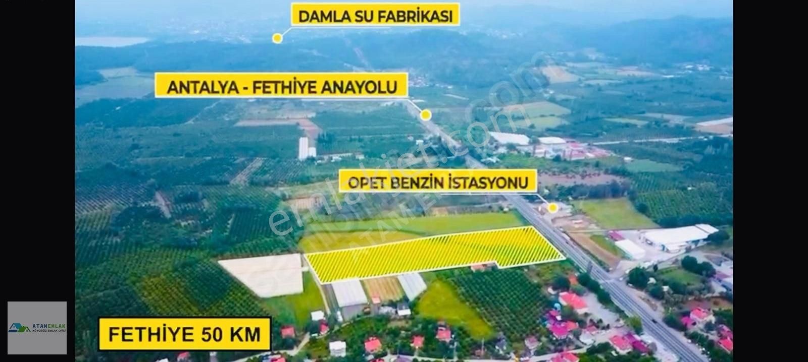 Atam Emlaktan Köyceğiz Mahallesinde Ana Yola Sıfır 25000 M2 Arsa