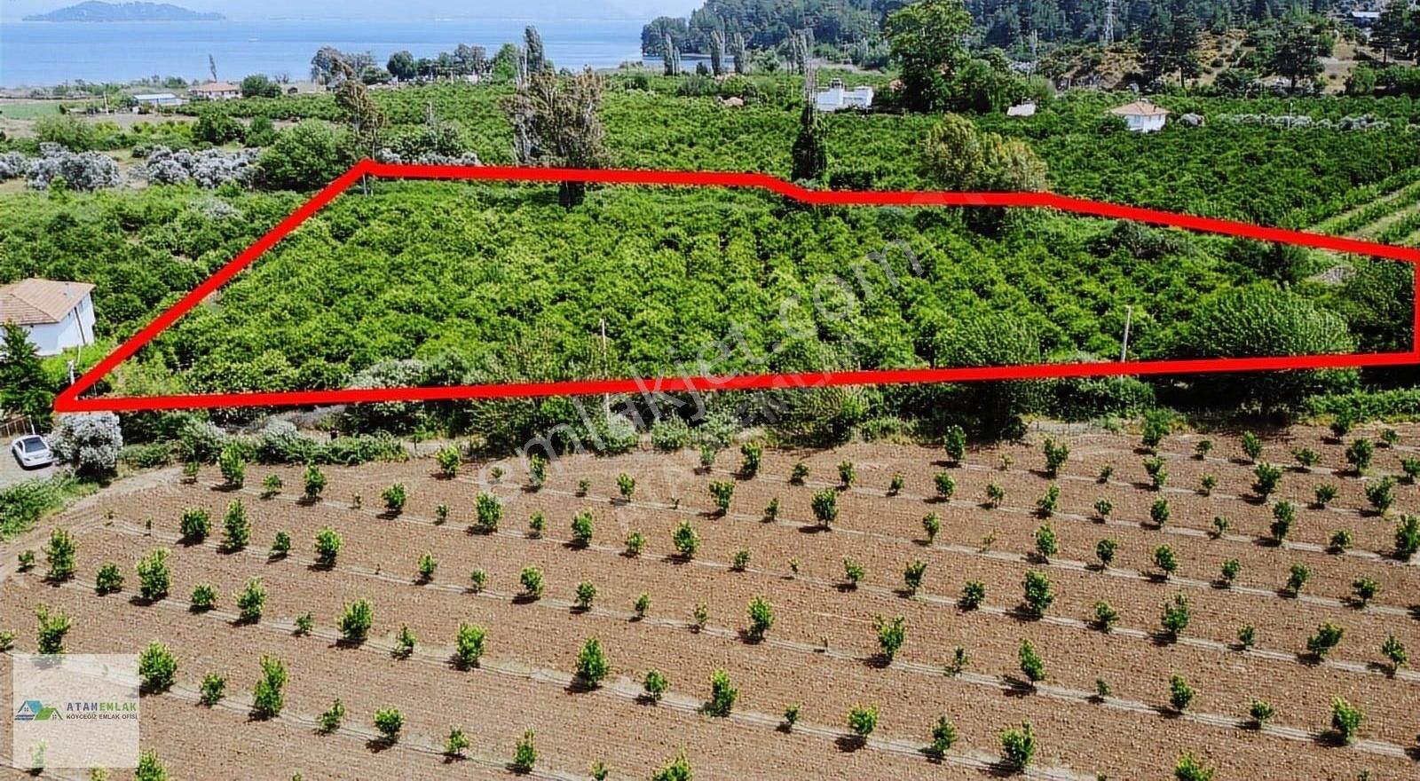 Atam Emlaktan Sultaniyede Satılık Yerleşim İçi 7500 M2 Bahçe