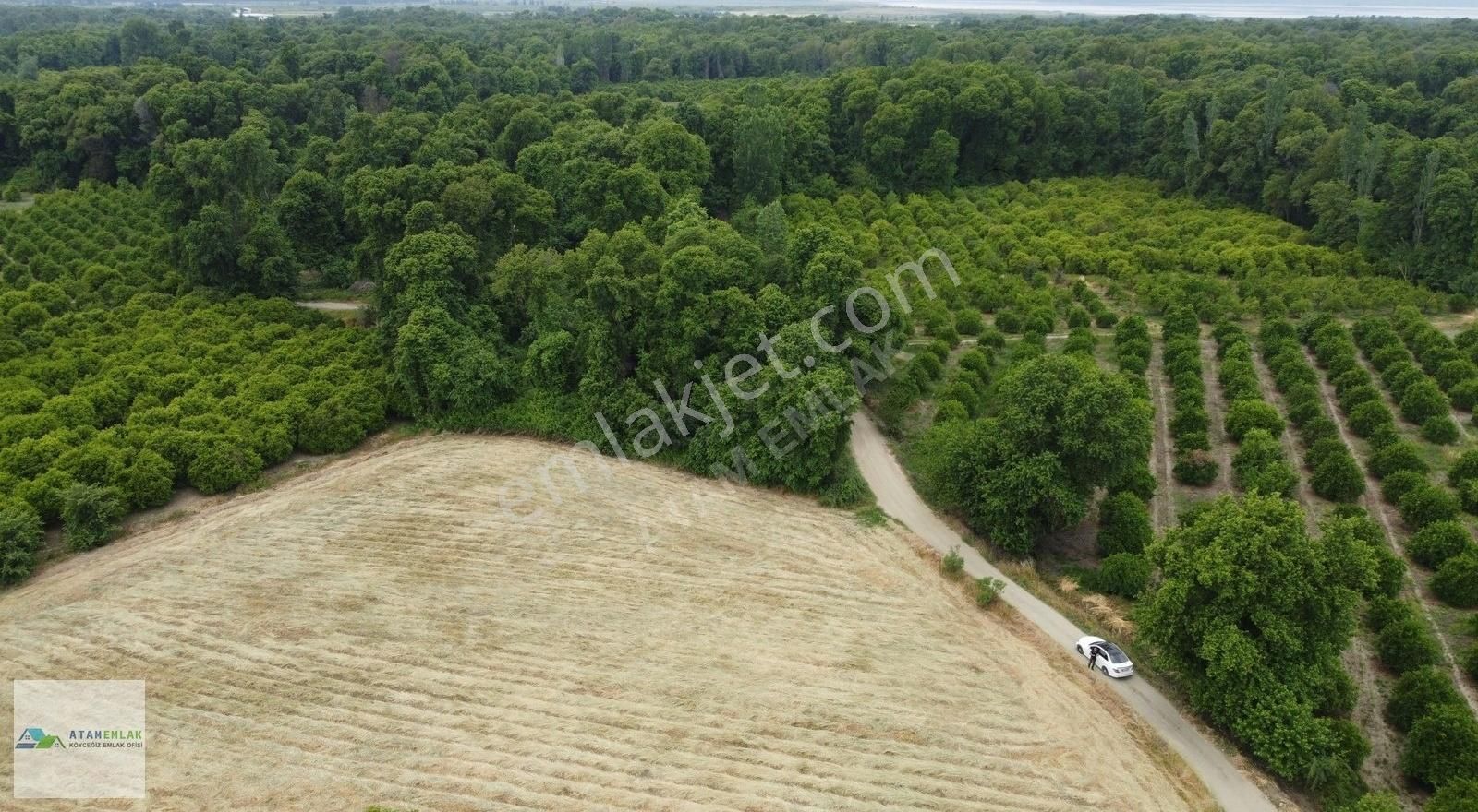 Atam Emlaktan Kavakarasında Satılık 3000 M2 Müstakil Parsel