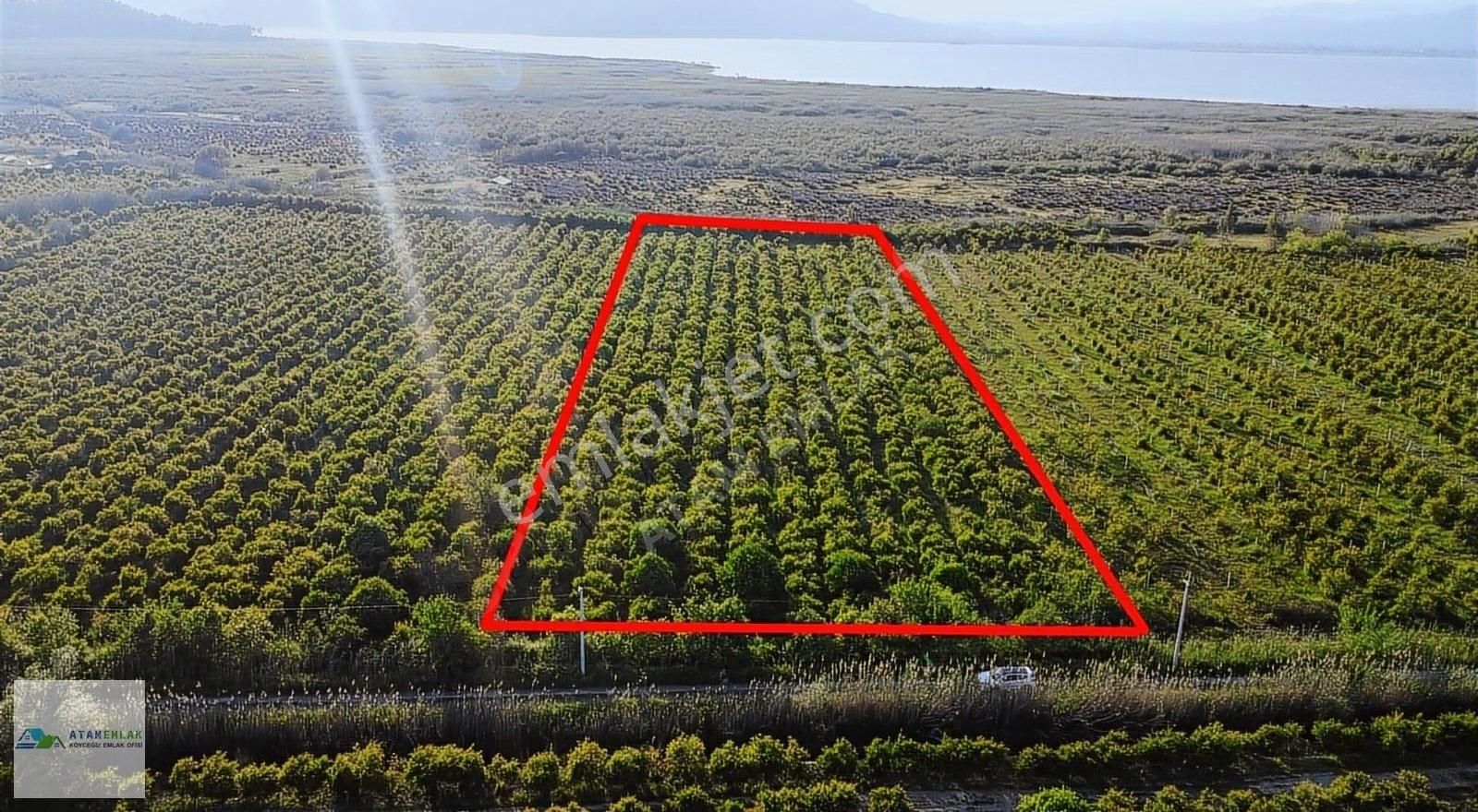 Atam Emlaktan Ortaca Tepearasında Satılık 8125 M2 Tarla