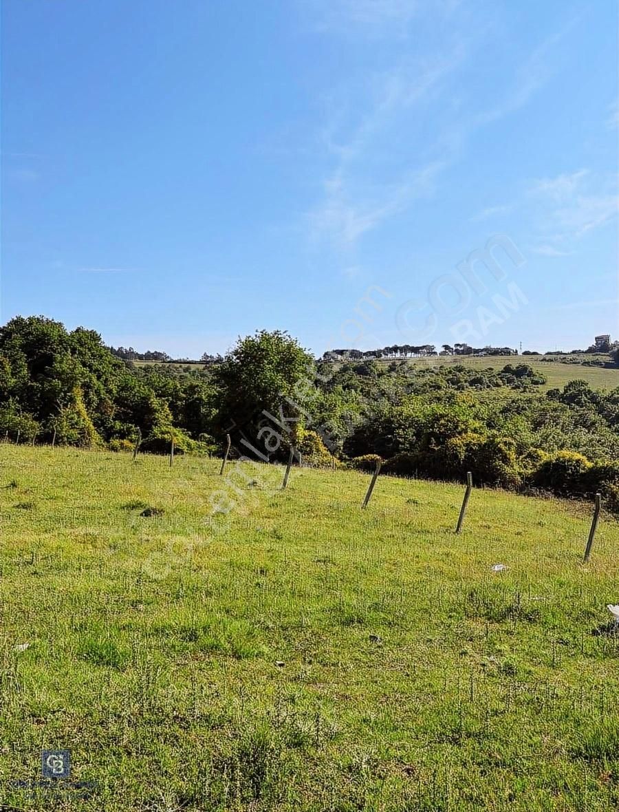 Arnavutköy Türkköşe De Havalimanı Yakınında 500 M2 Satılık Arsa