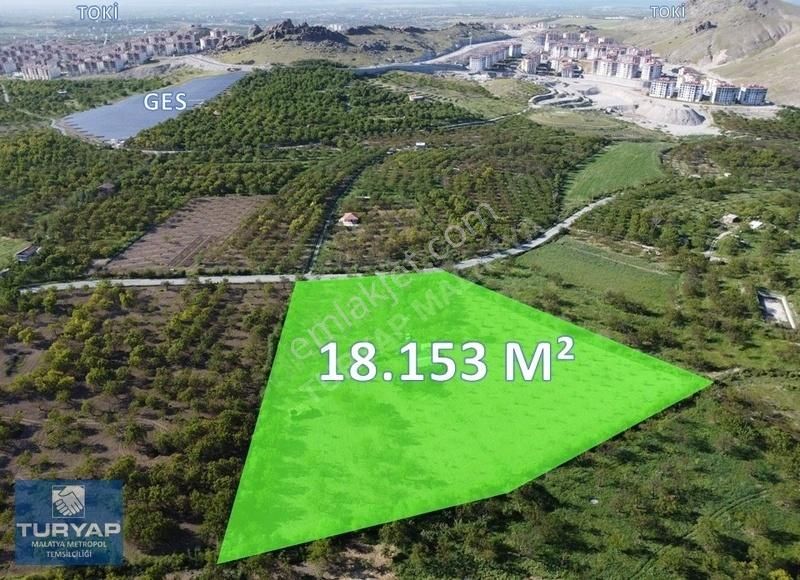 Turyap'tan Orduzu Bahçebaşın'da 18.153 M² Satılık Ev & Bahçe
