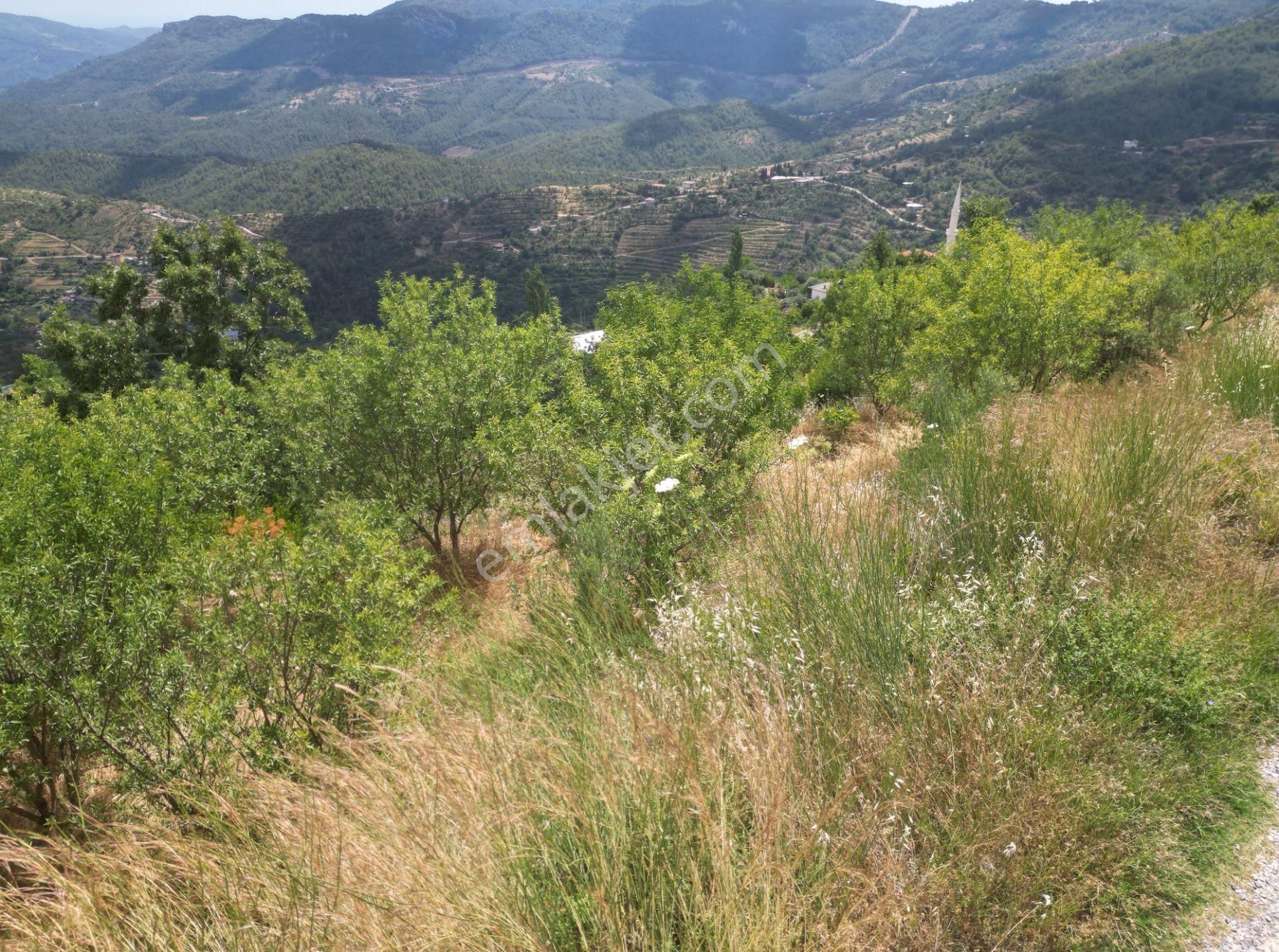 Alanya Şıhlar’da Yatırıma Uygun Satılık 665 M2 Hobi Ve Badem Bahçesi - Görsel 8