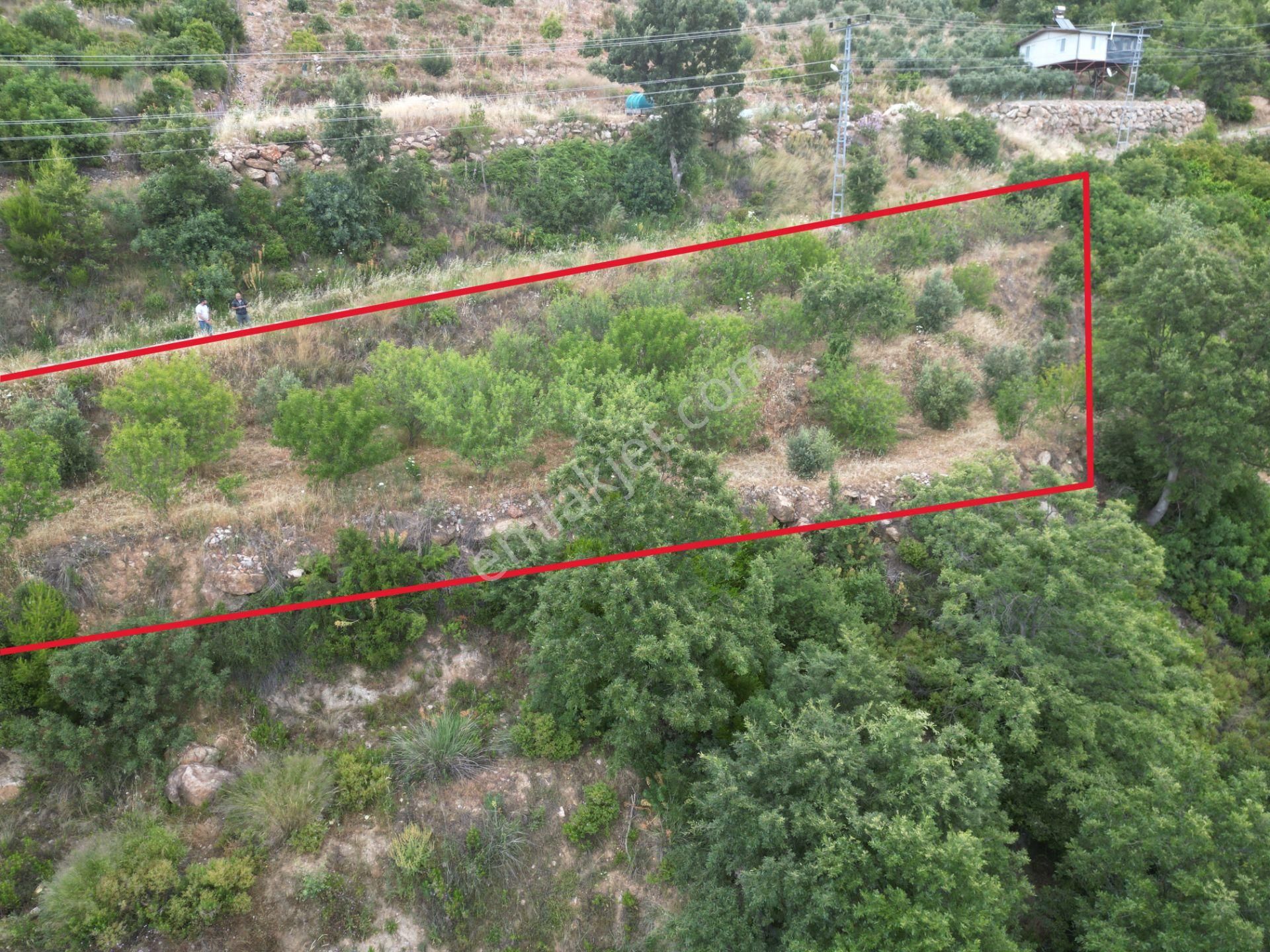 Alanya Şıhlar’da Yatırıma Uygun Satılık 665 M2 Hobi Ve Badem Bahçesi - Görsel 3