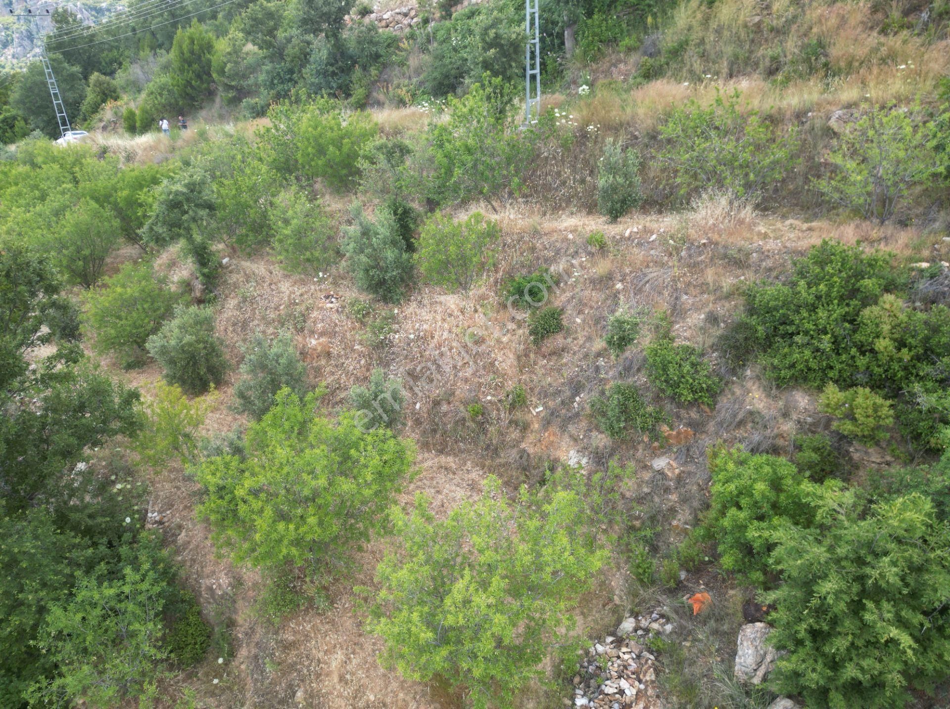 Alanya Şıhlar’da Yatırıma Uygun Satılık 665 M2 Hobi Ve Badem Bahçesi - Görsel 5