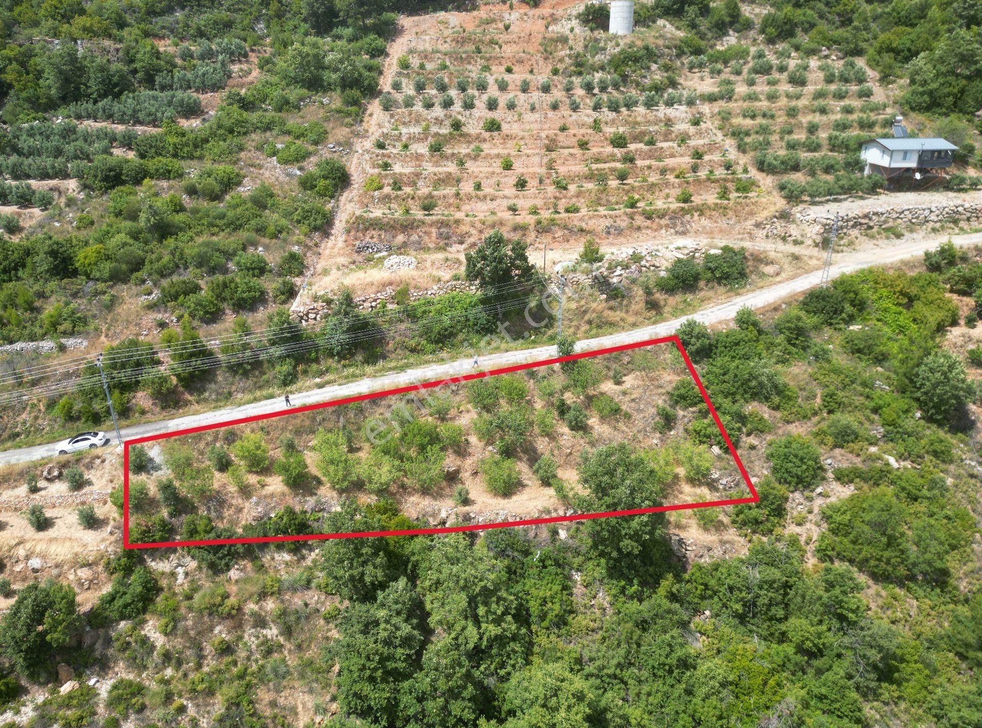 Alanya Şıhlar’da Yatırıma Uygun Satılık 665 M2 Hobi Ve Badem Bahçesi - Görsel 18