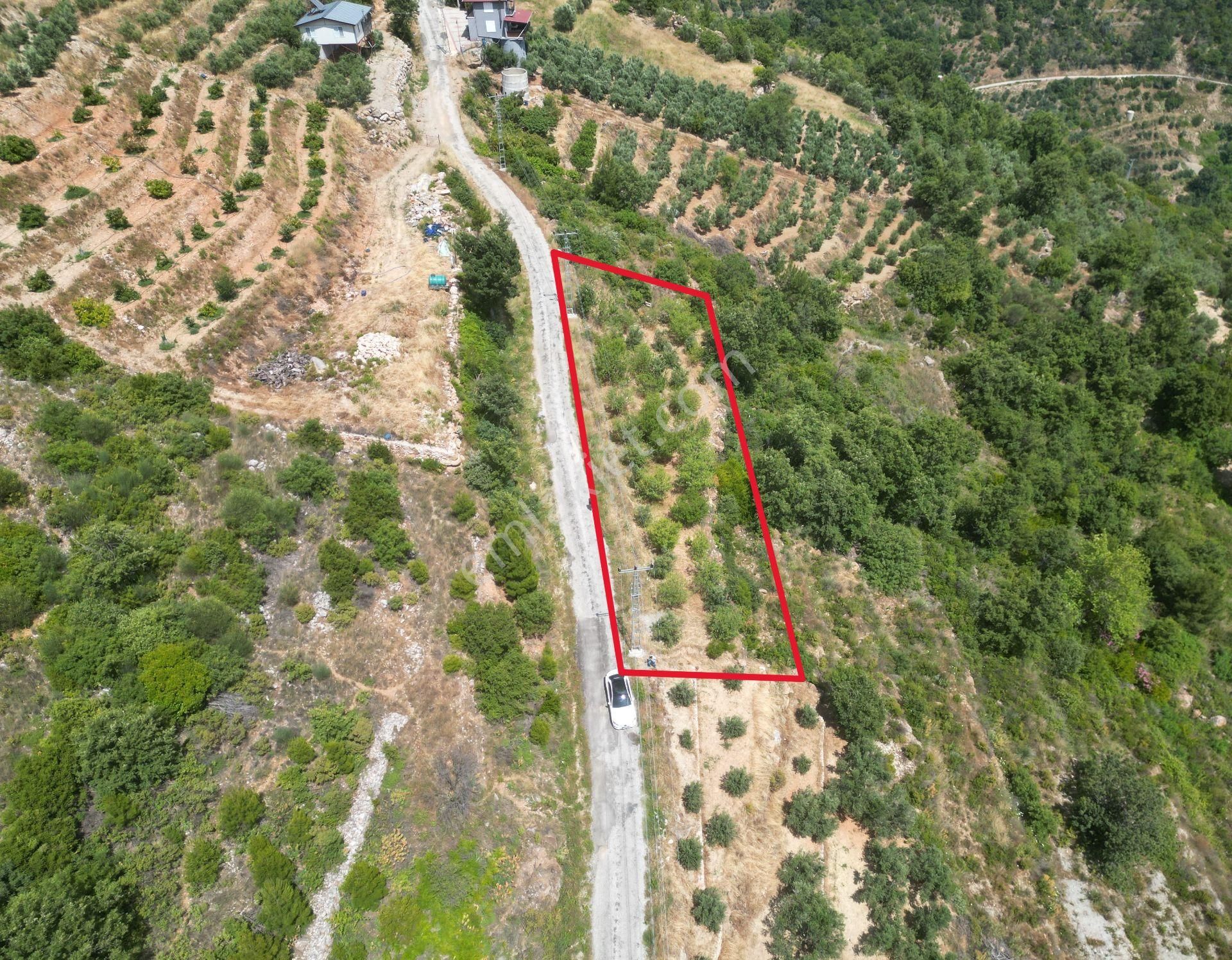 Alanya Şıhlar’da Yatırıma Uygun Satılık 665 M2 Hobi Ve Badem Bahçesi - Görsel 12
