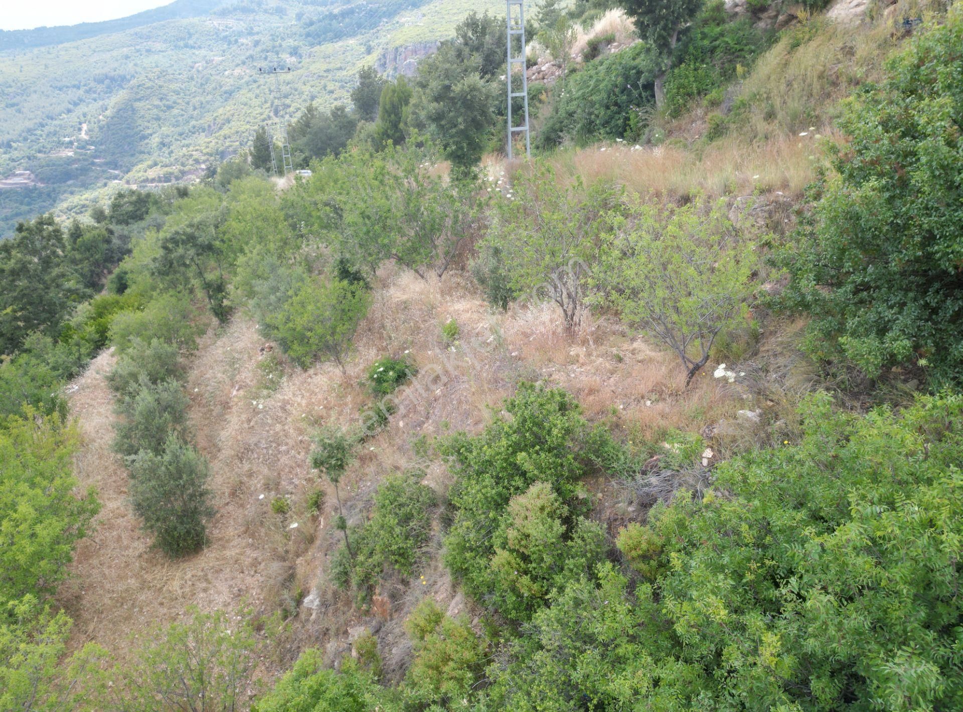 Alanya Şıhlar’da Yatırıma Uygun Satılık 665 M2 Hobi Ve Badem Bahçesi - Görsel 6
