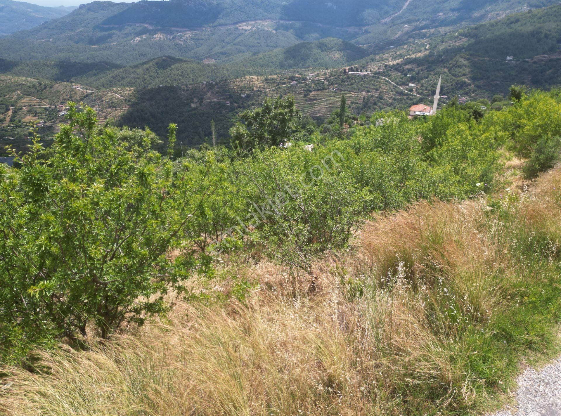 Alanya Şıhlar’da Yatırıma Uygun Satılık 665 M2 Hobi Ve Badem Bahçesi - Görsel 7