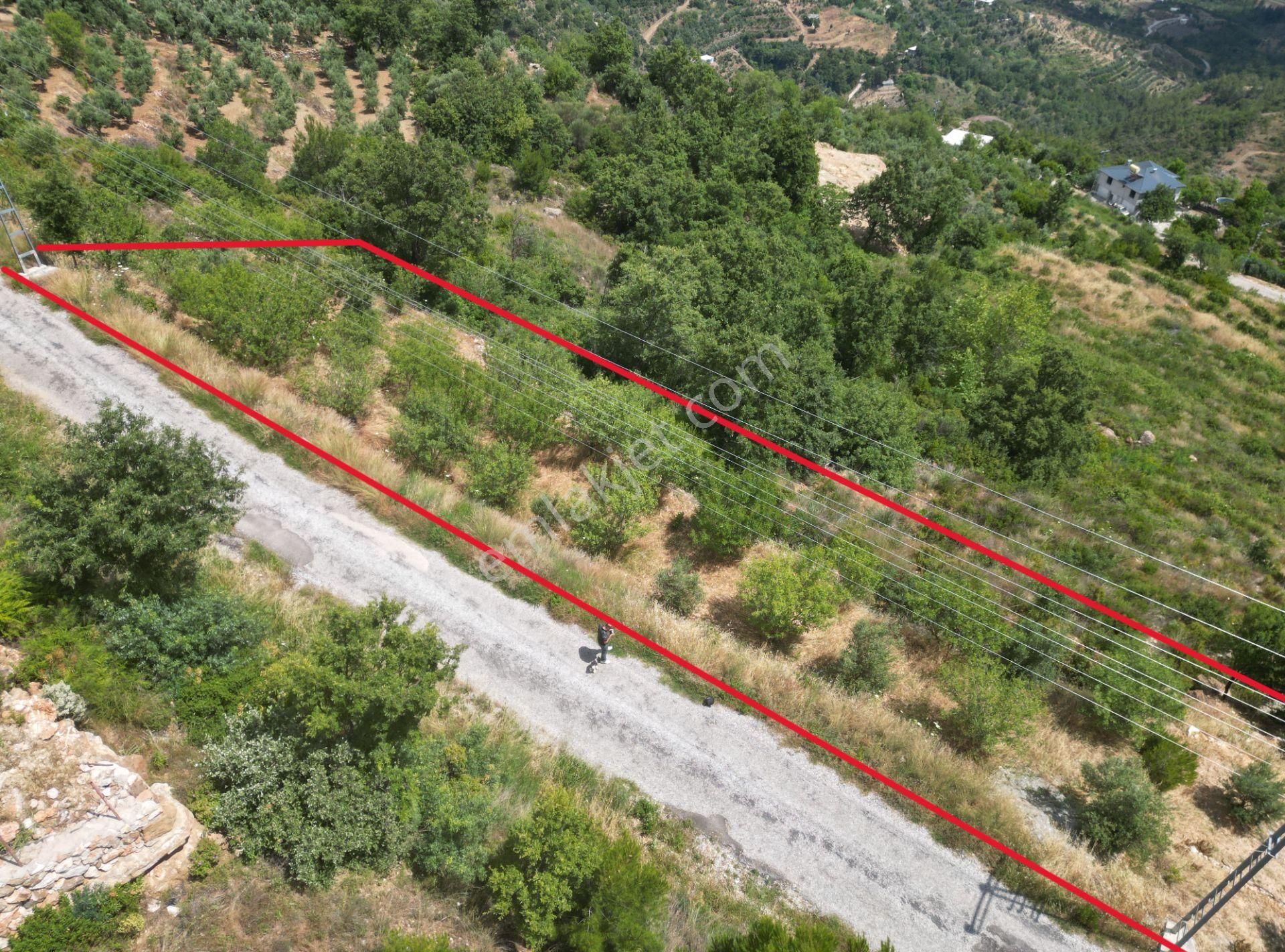 Alanya Şıhlar’da Yatırıma Uygun Satılık 665 M2 Hobi Ve Badem Bahçesi - Görsel 10