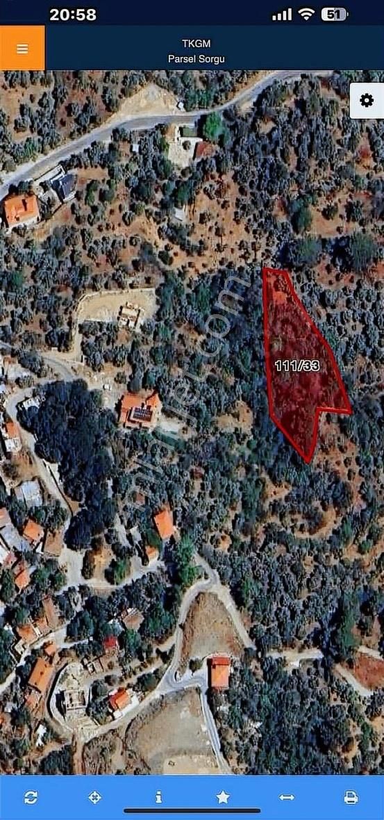 Pek Emlaktan Kaplan Da Köye Çok Yakın Satılık Zeytin Lik