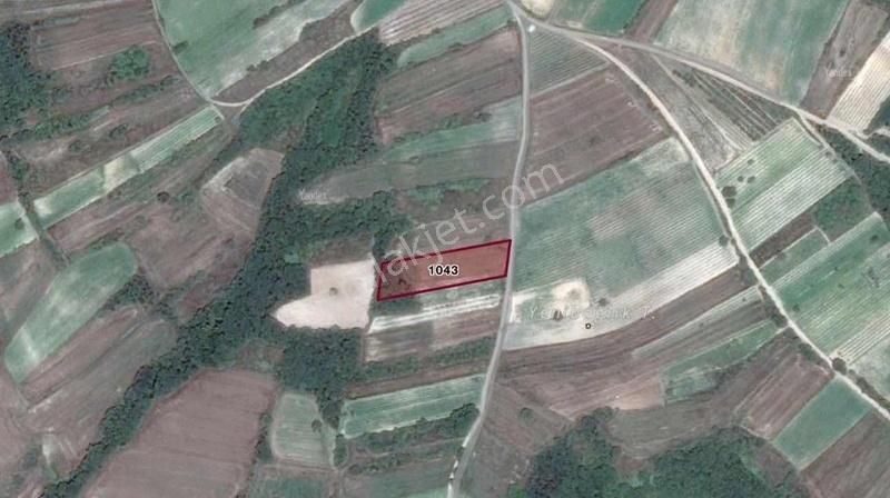 Edirne Uzunköprü Yeniköyde Yatırımlık Parseller