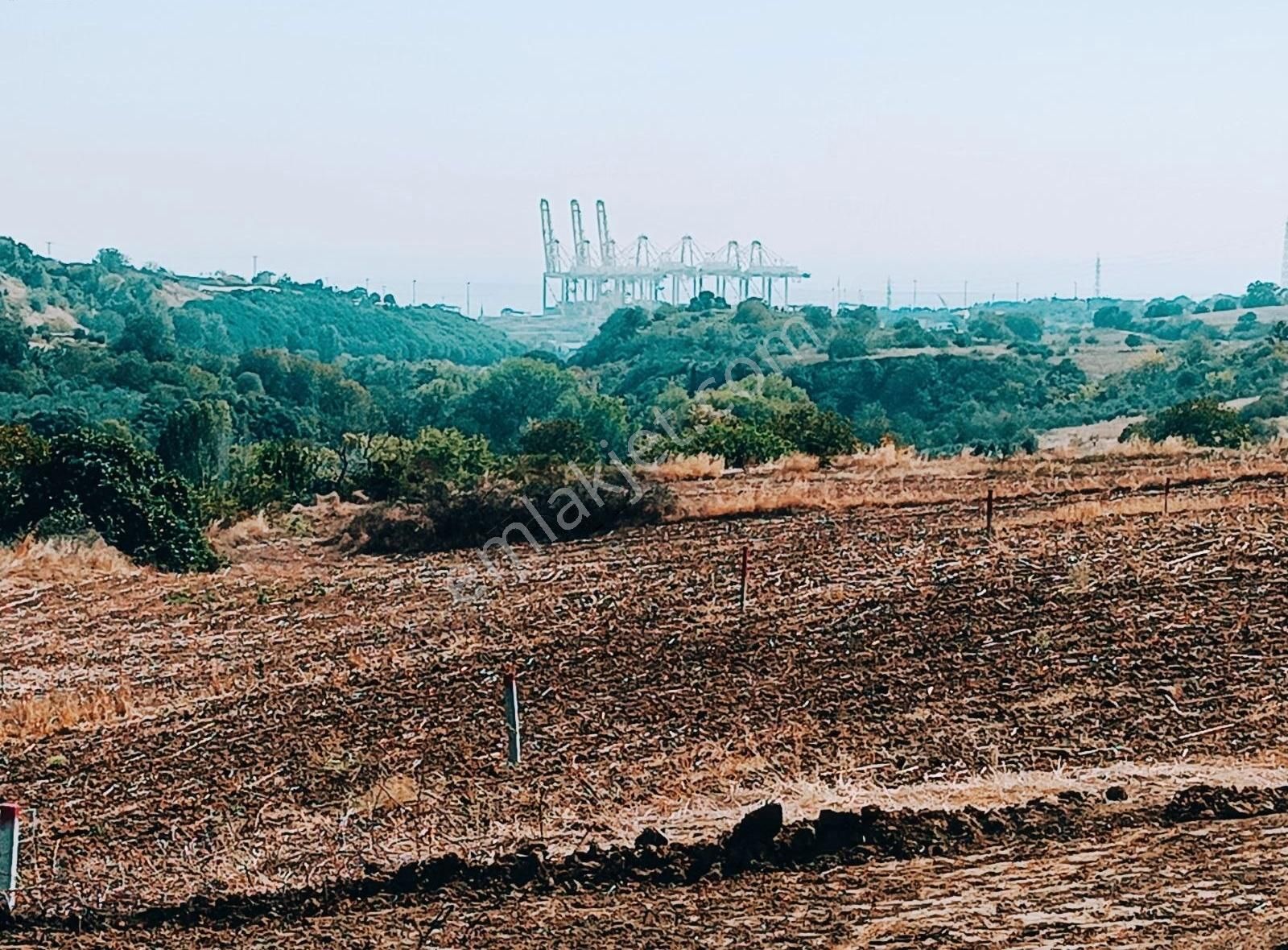 360 M2 Yola Cephe Deniz Manzaralı Çaplı Muvafakatnameli