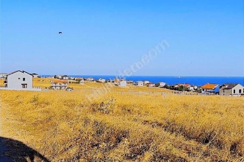 Gümüşyaka Da Göl Ve Orman Manzaralı Kadastro Yoluna Cephe Tarla